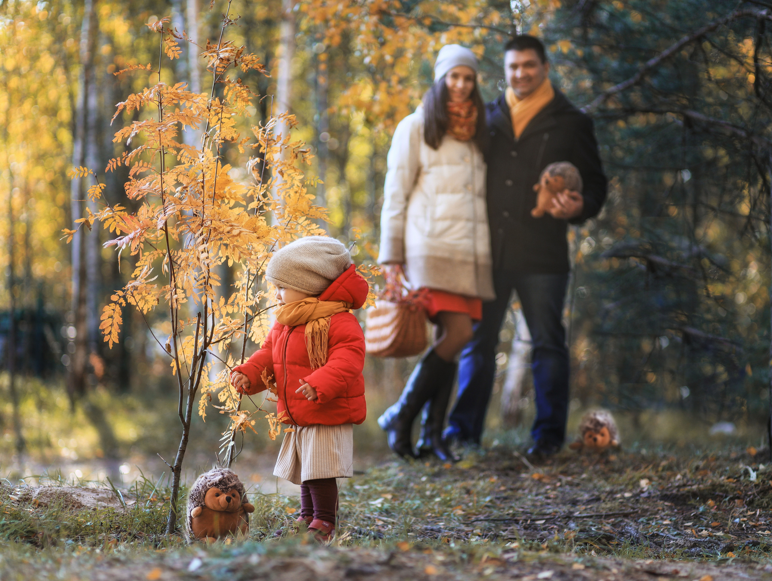 Прогулка по осеннему лесу. Детский и семейный фотограф в Санкт-Петербурге Перевощикова Наталья