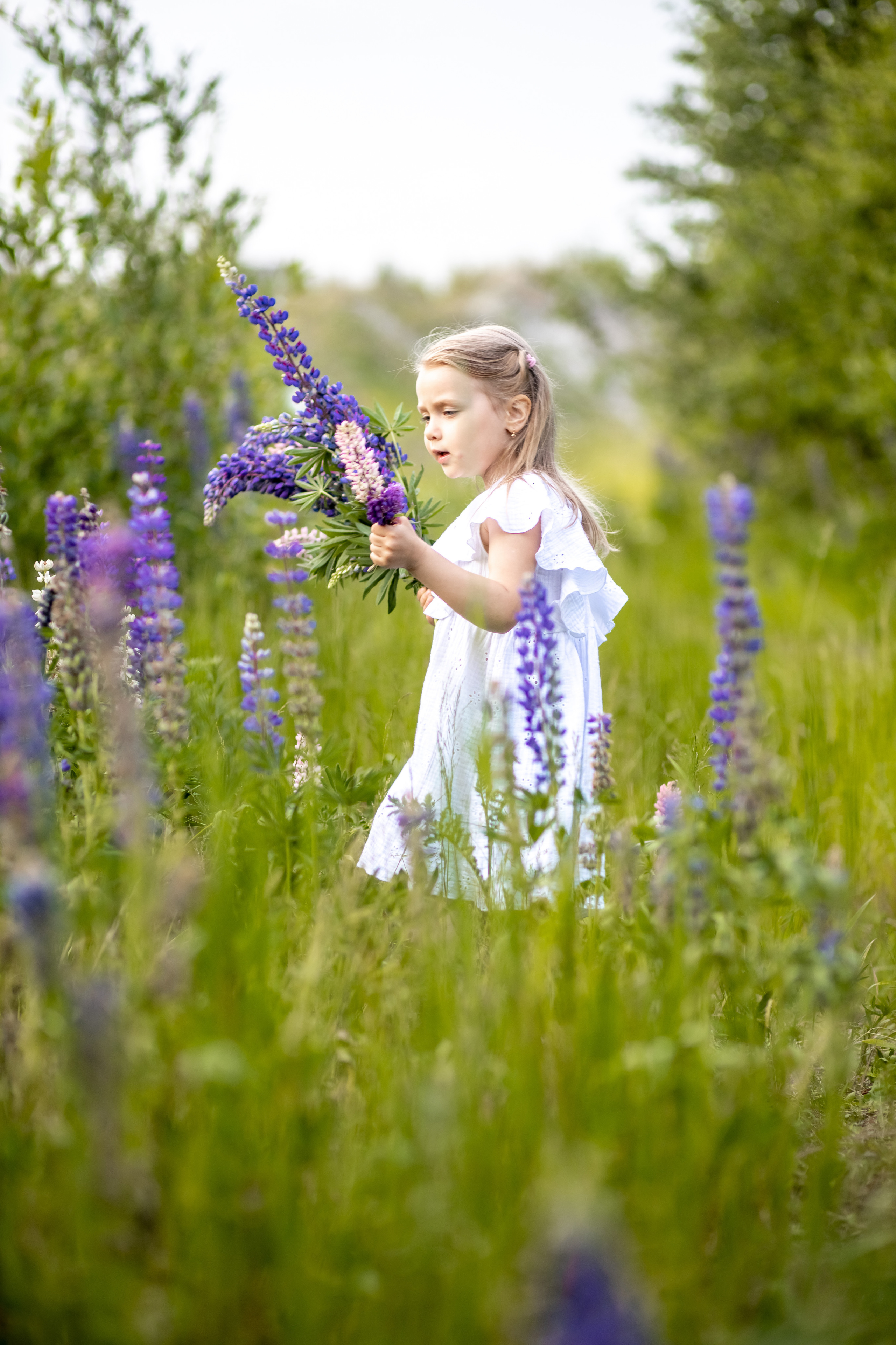 Фотосессия в люпинах. Детский и семейный фотограф в Санкт-Петербурге Перевощикова Наталья