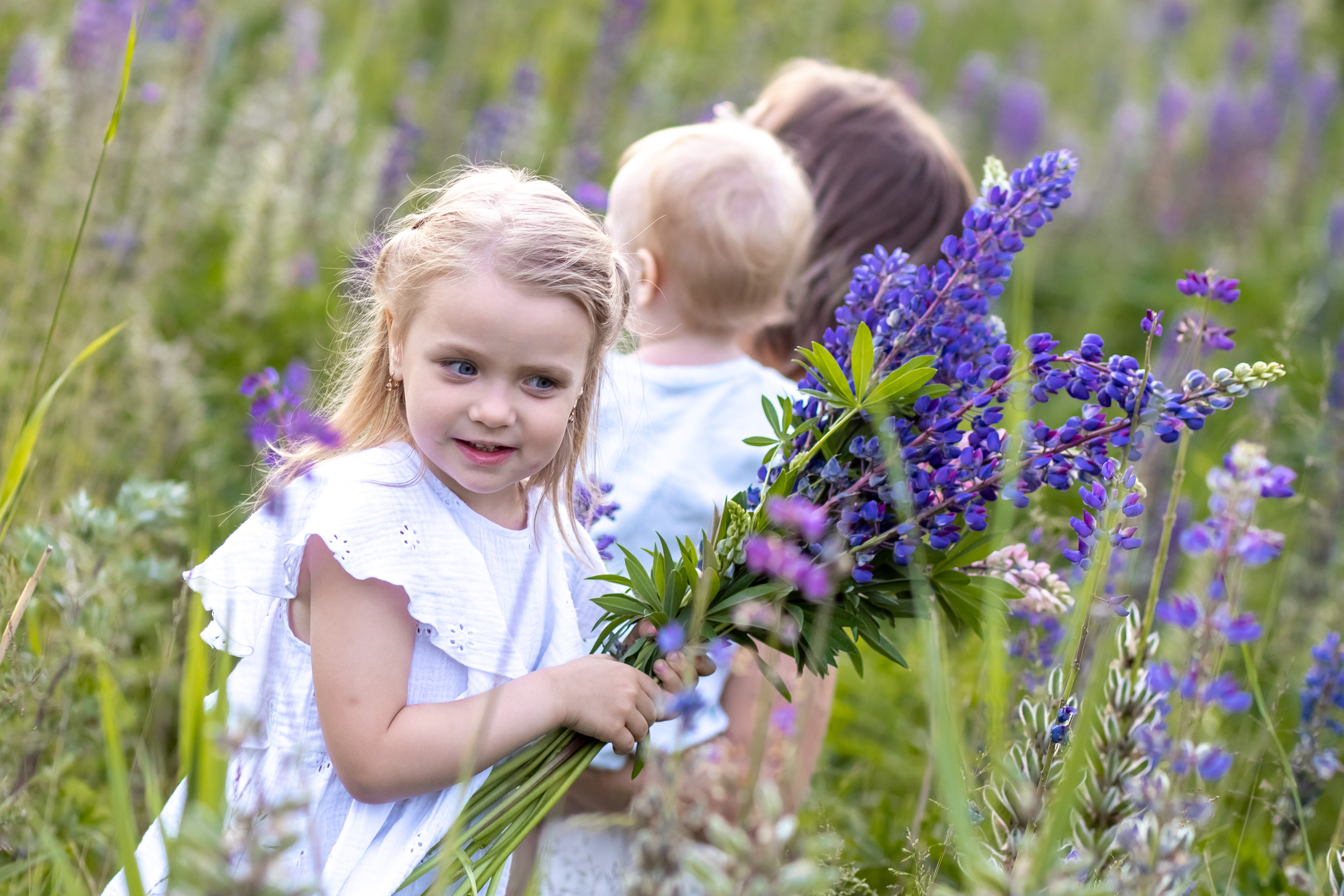 Фотосессия в люпинах. Детский и семейный фотограф в Санкт-Петербурге Перевощикова Наталья