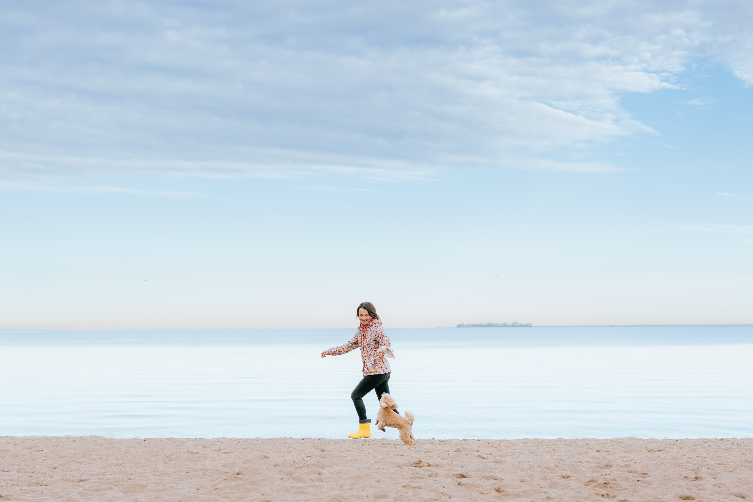 Фотосессия с собакой на пляже. Фотограф анималист в Спб недорого Олеся Майорова