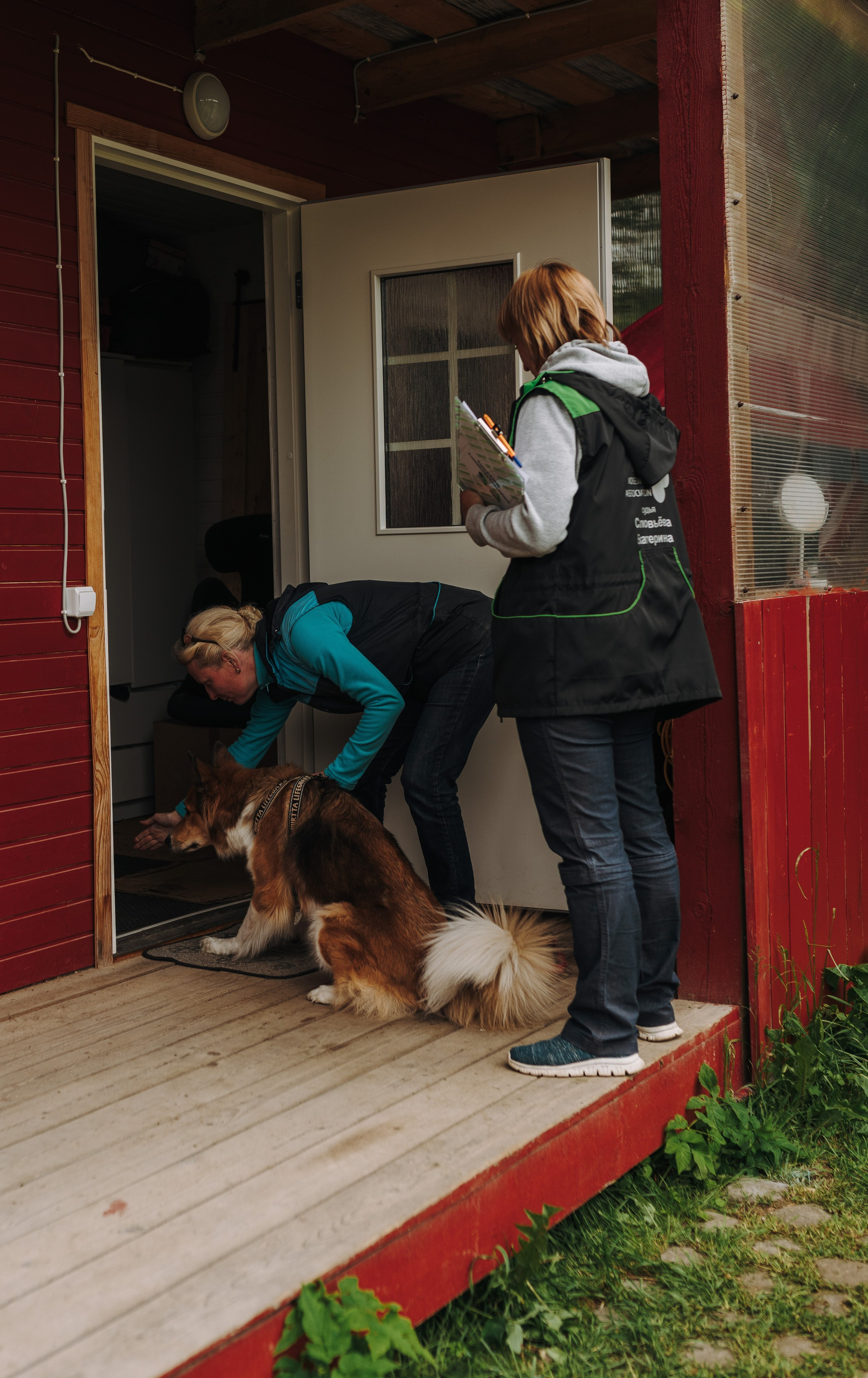 Соревнования по ноузворку. Фотограф анималист в Спб недорого Олеся Майорова
