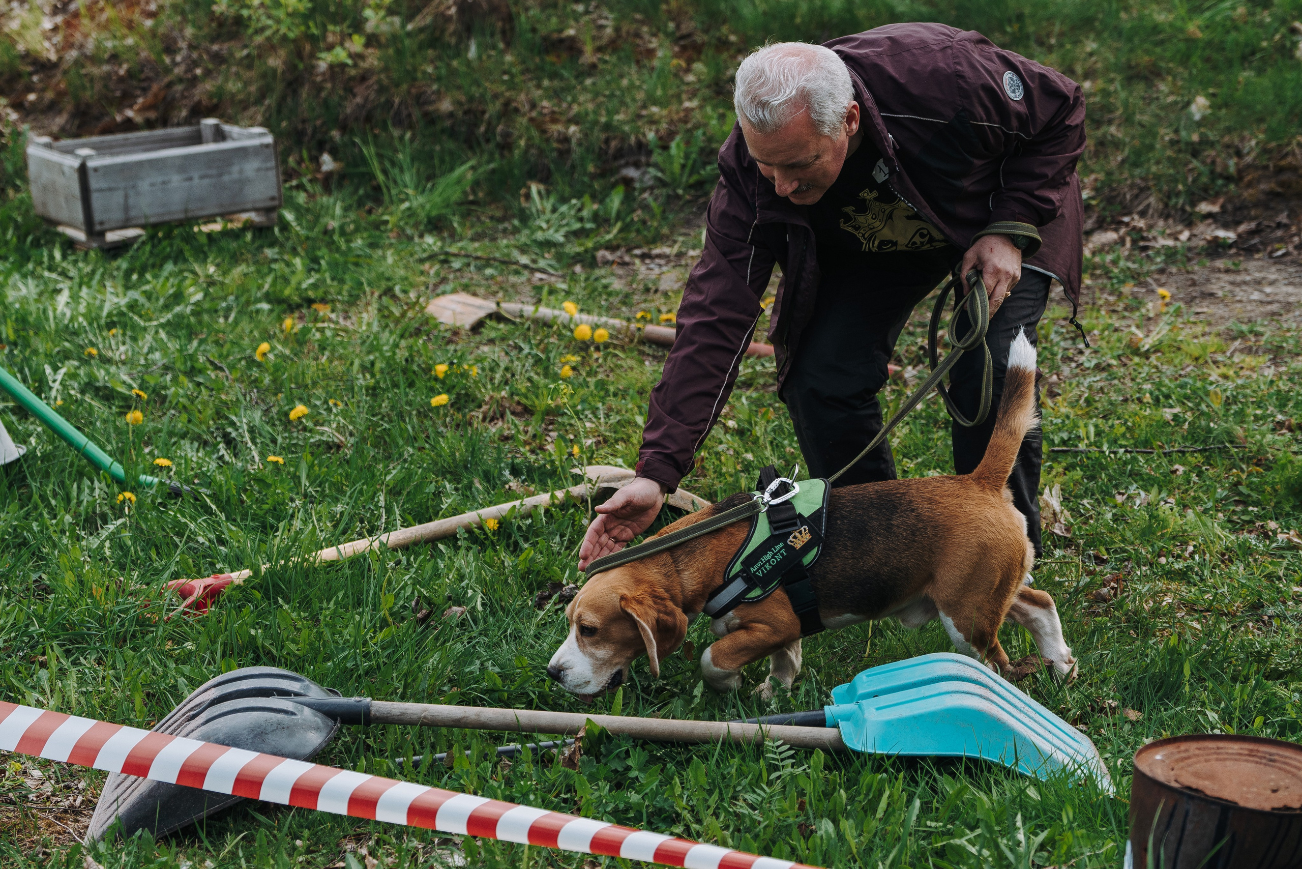 Соревнования по ноузворку в Лосево. Фотограф анималист в Спб недорого Олеся Майорова