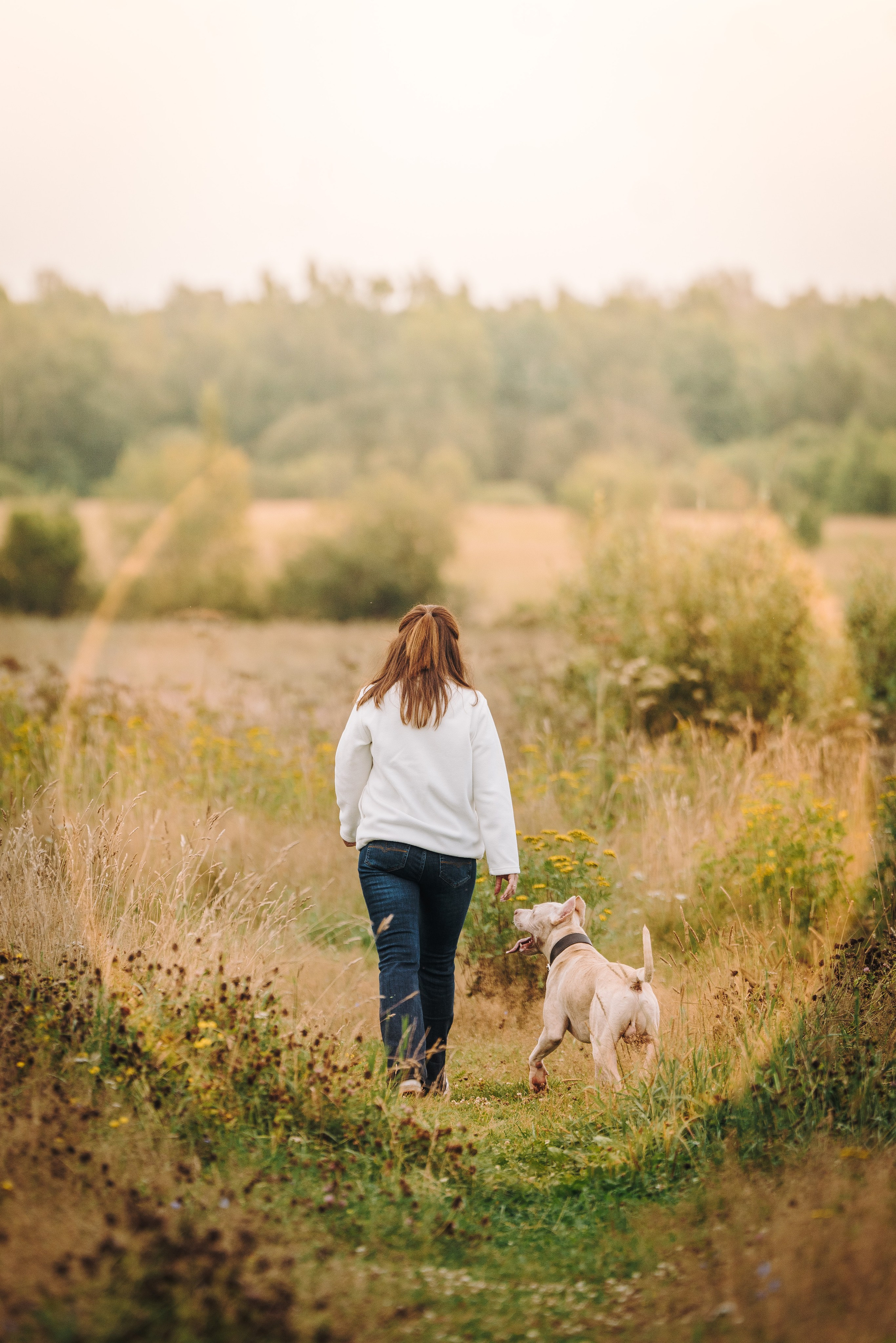 Оля и Гламур. Фотограф анималист в Спб недорого Олеся Майорова