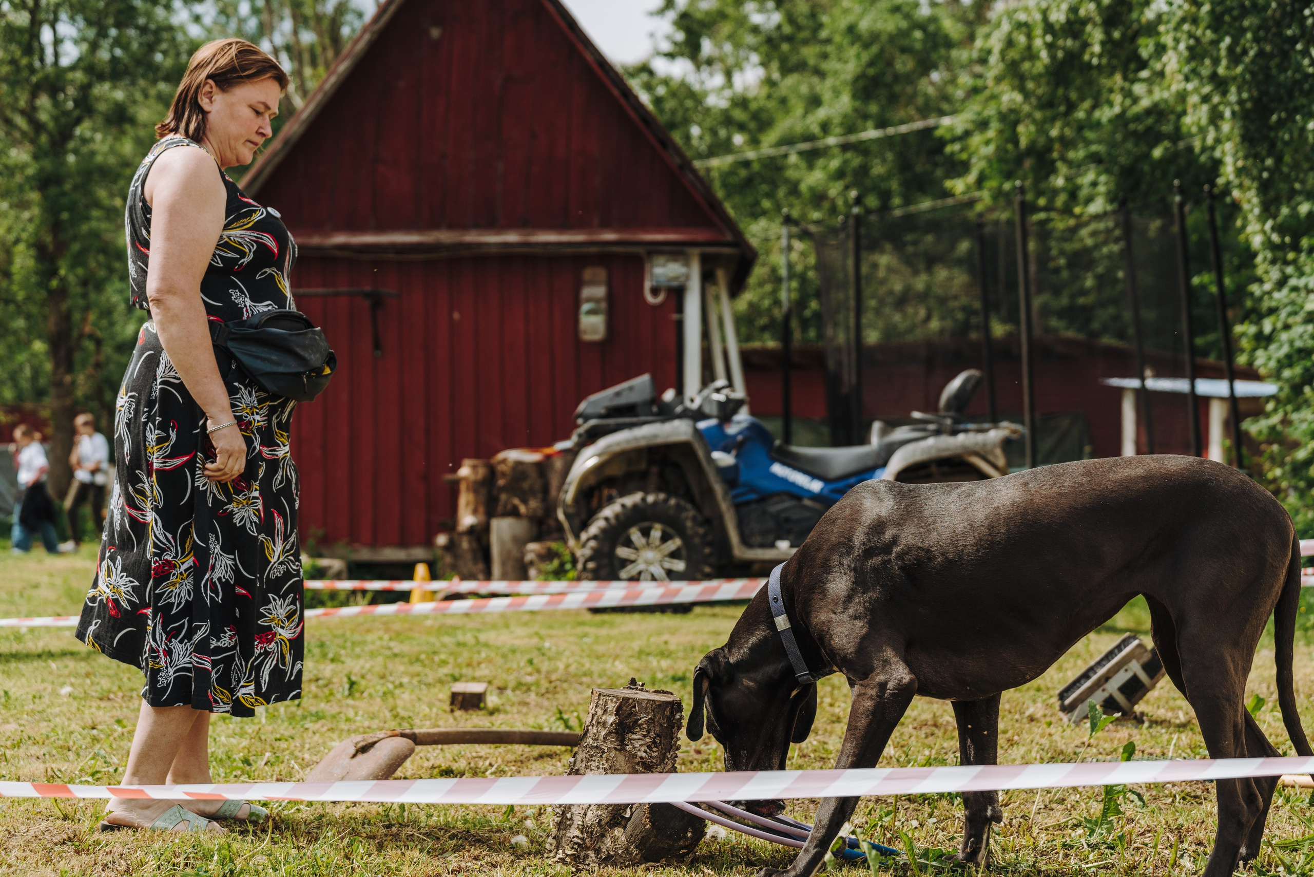 Соревнования по ноузворку. Фотограф анималист в Спб недорого Олеся Майорова