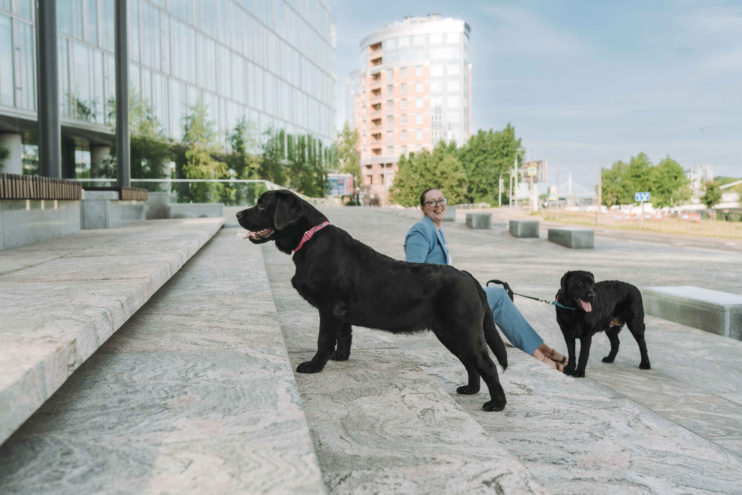 Лабрадоры питомника IRISLAV. Фотограф анималист в Спб недорого Олеся Майорова