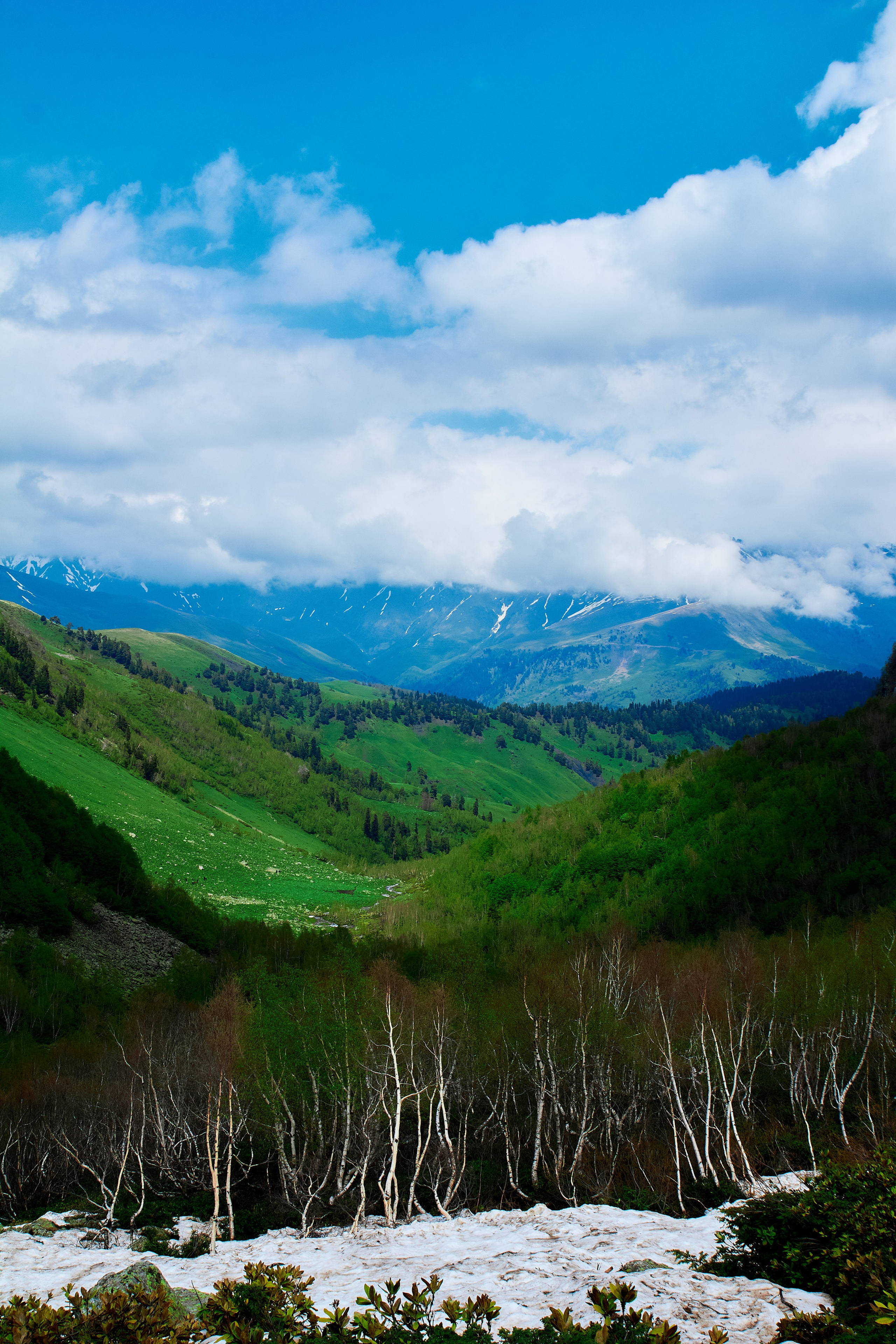 Пейзаж. Репортажный фотограф | Леонид Черков