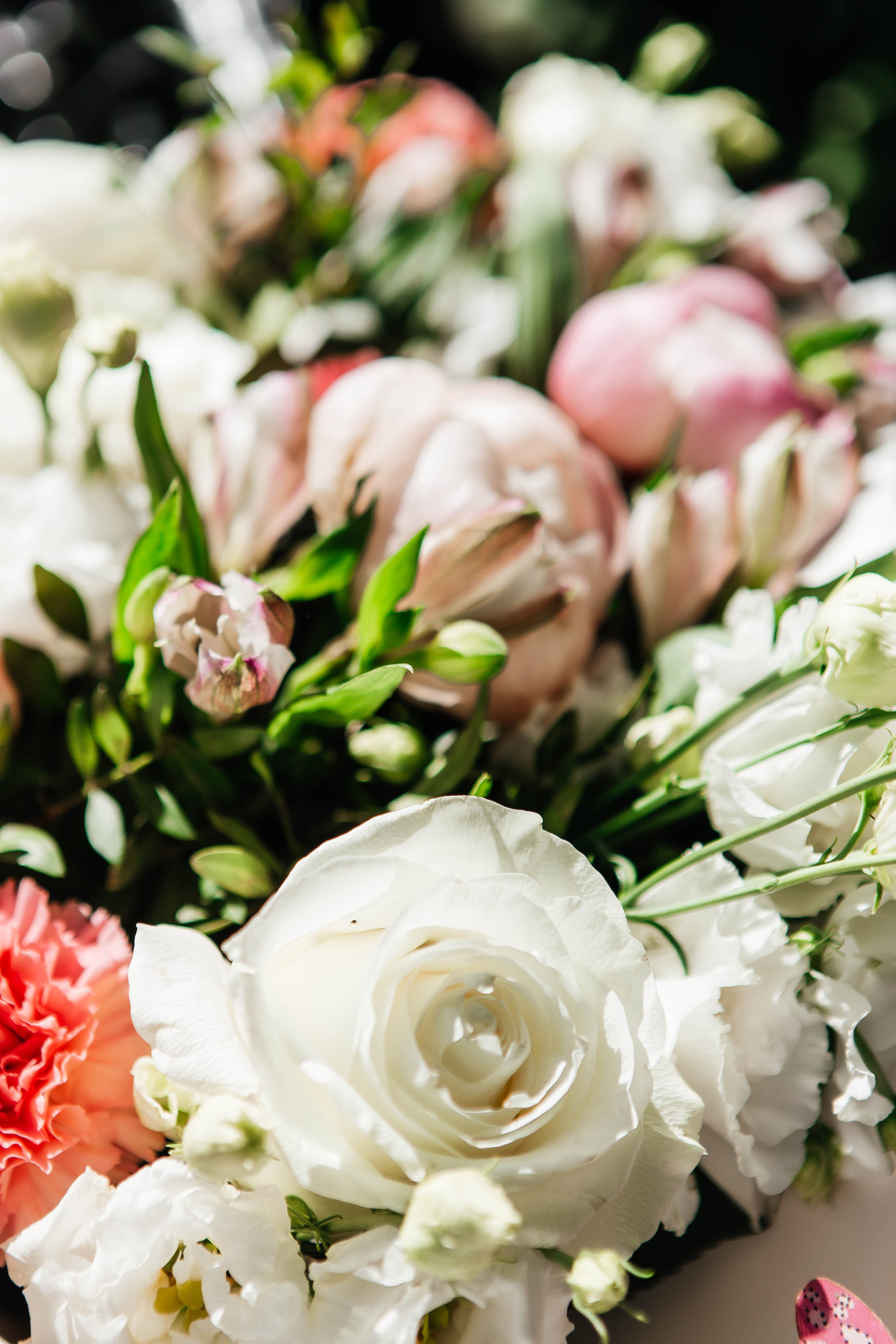 Андрей & Виктория. Фотограф Абакумова Анастасия