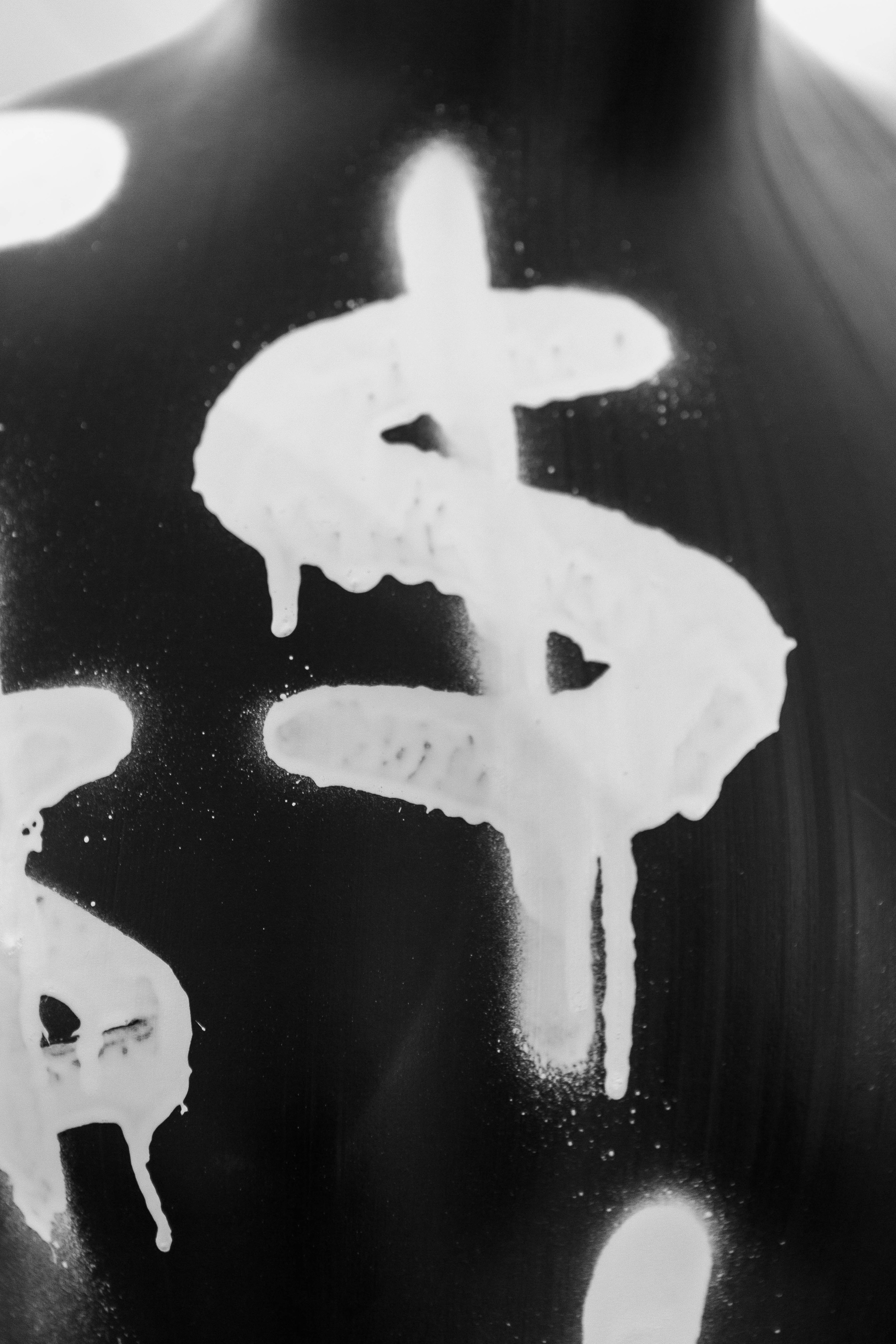 PRODAMUS | CASH FEST. Фотограф Абакумова Анастасия