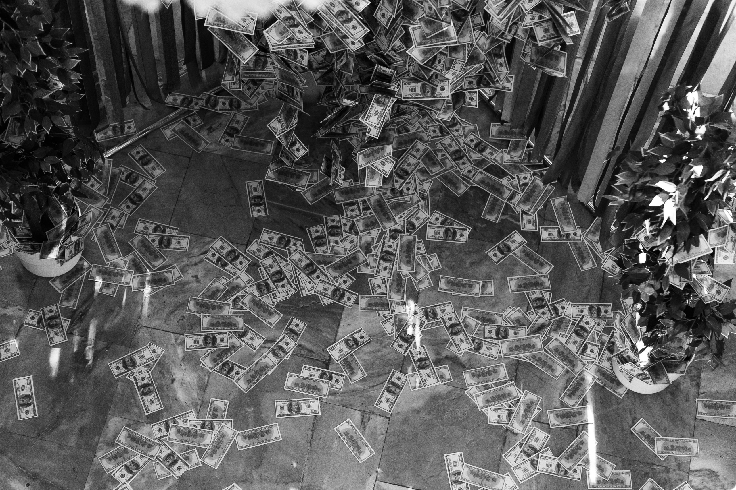 PRODAMUS | CASH FEST. Фотограф Абакумова Анастасия