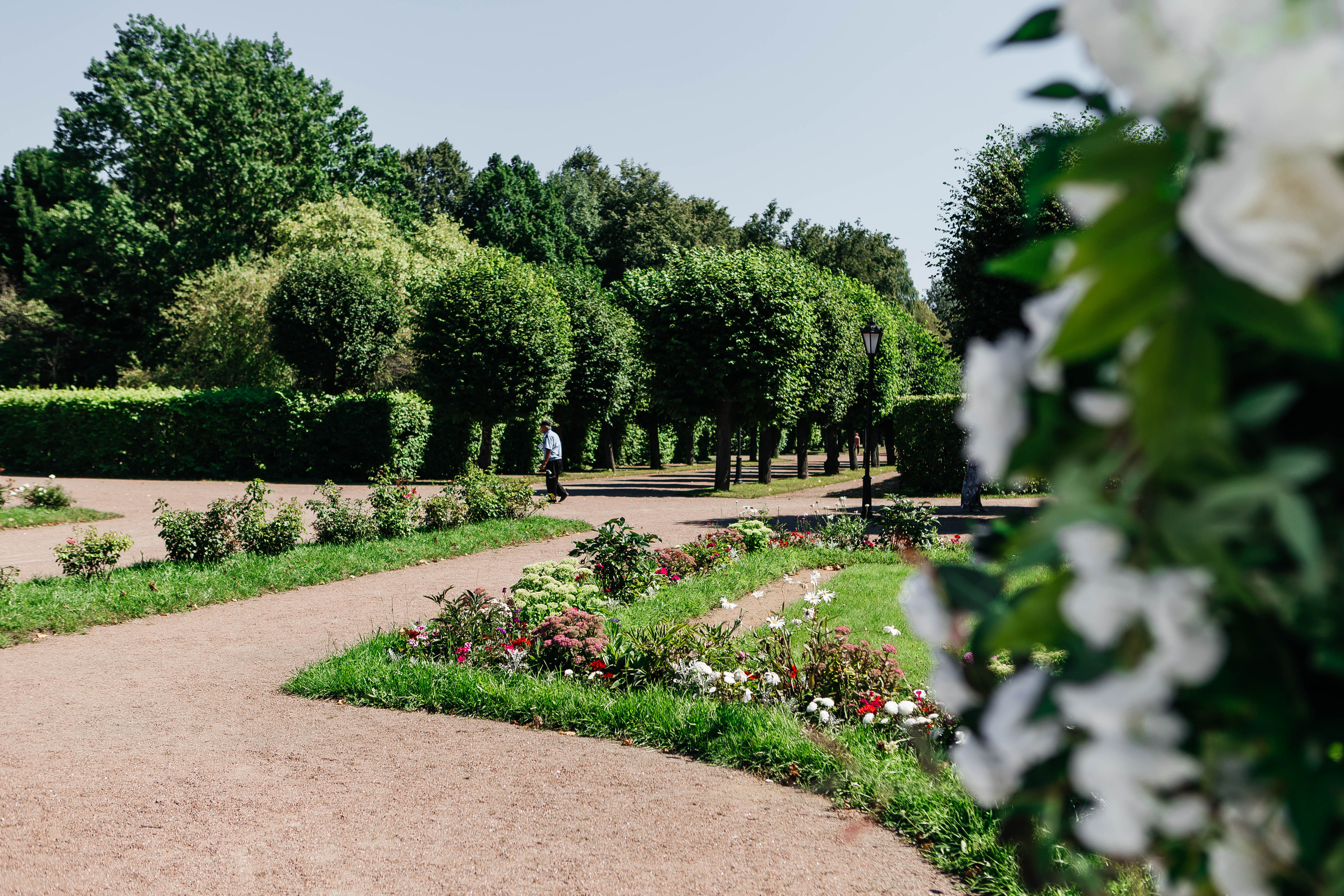 Андрей & Виктория. Фотограф Абакумова Анастасия