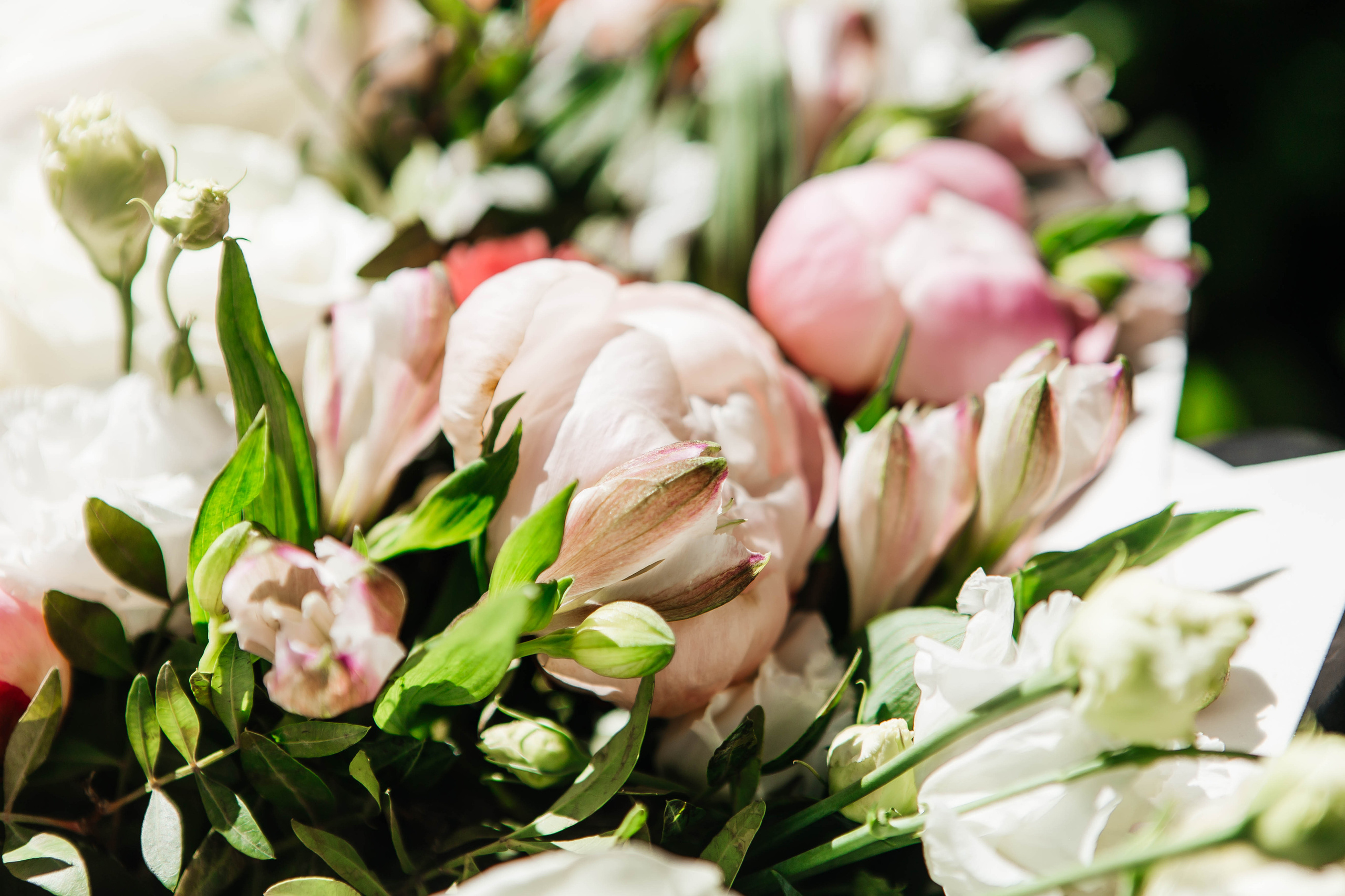 Андрей & Виктория. Фотограф Абакумова Анастасия