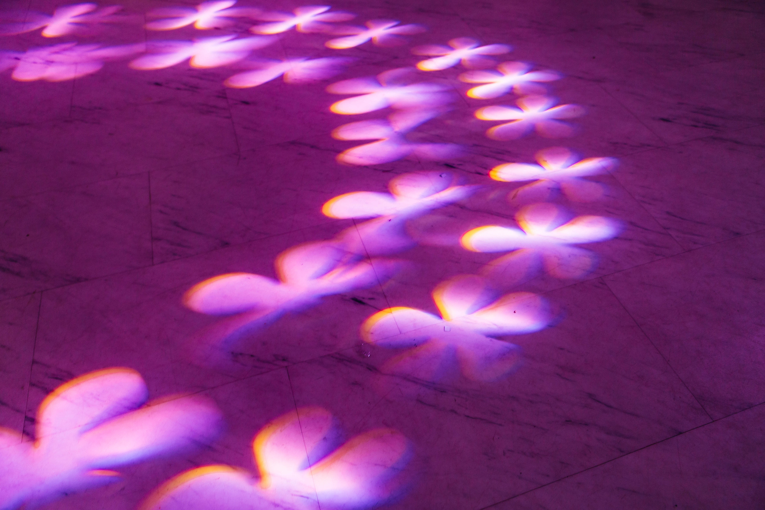 PRODAMUS | CASH FEST. Фотограф Абакумова Анастасия