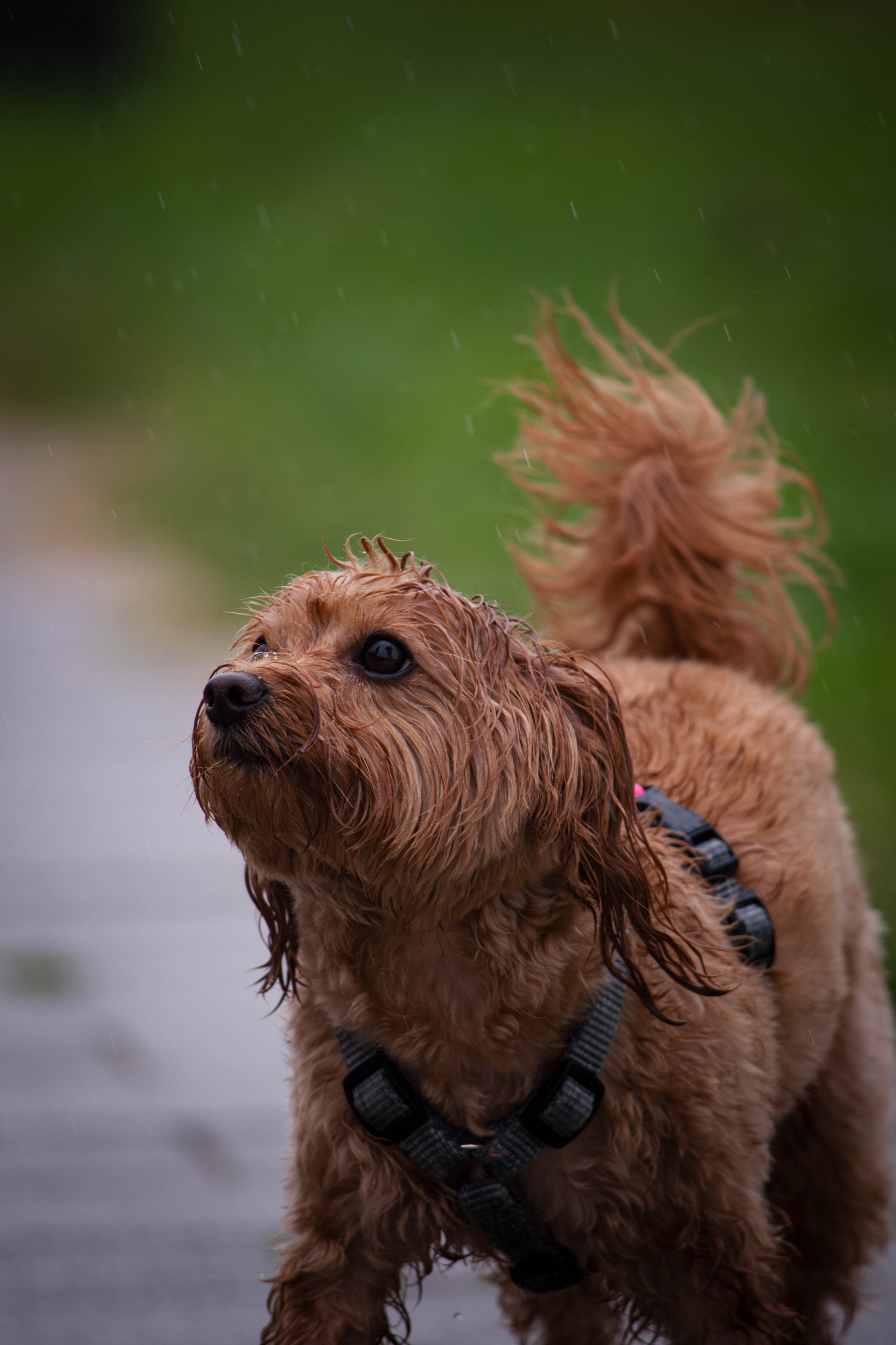 Прогулка в парке Митино. Фотограф Светлана Блинова, Москва и Московская область