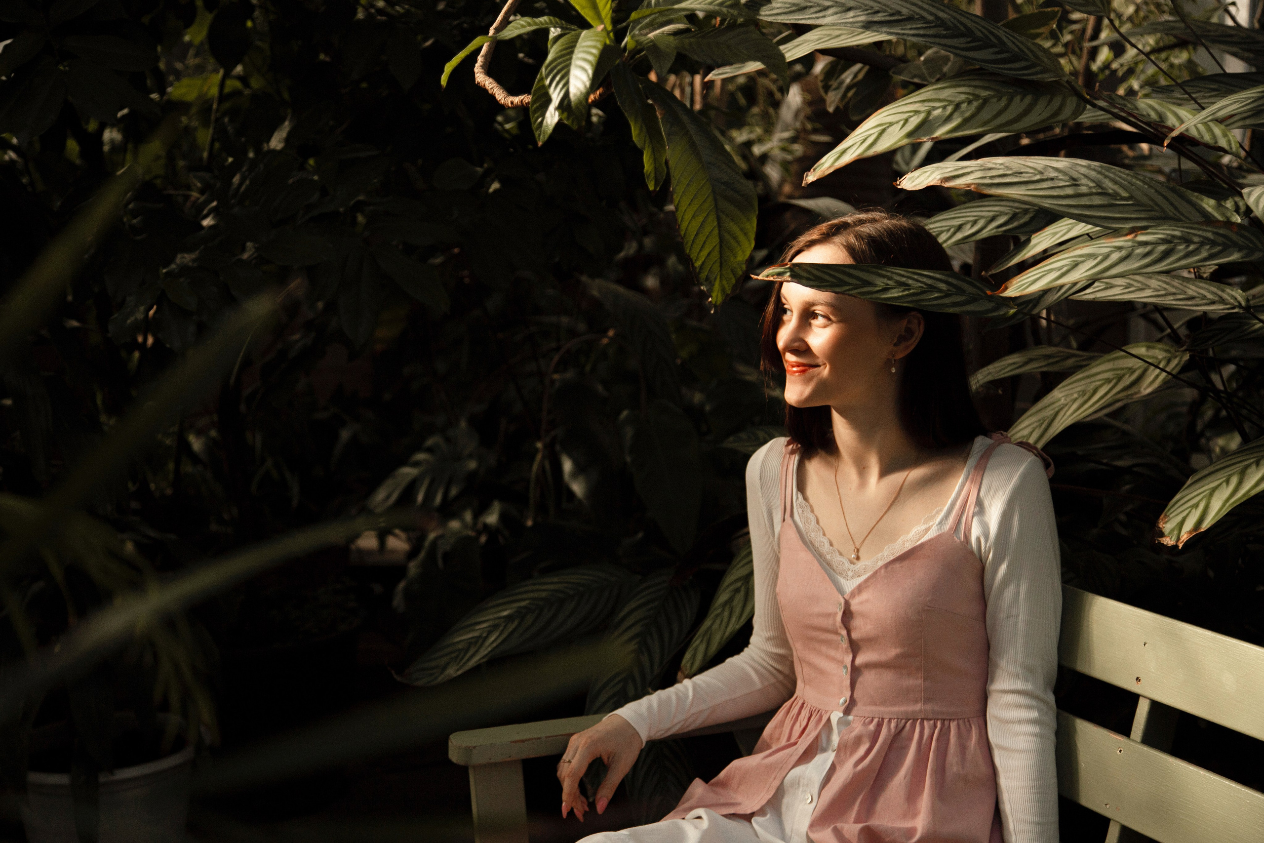 Оранжерея Таврического сада