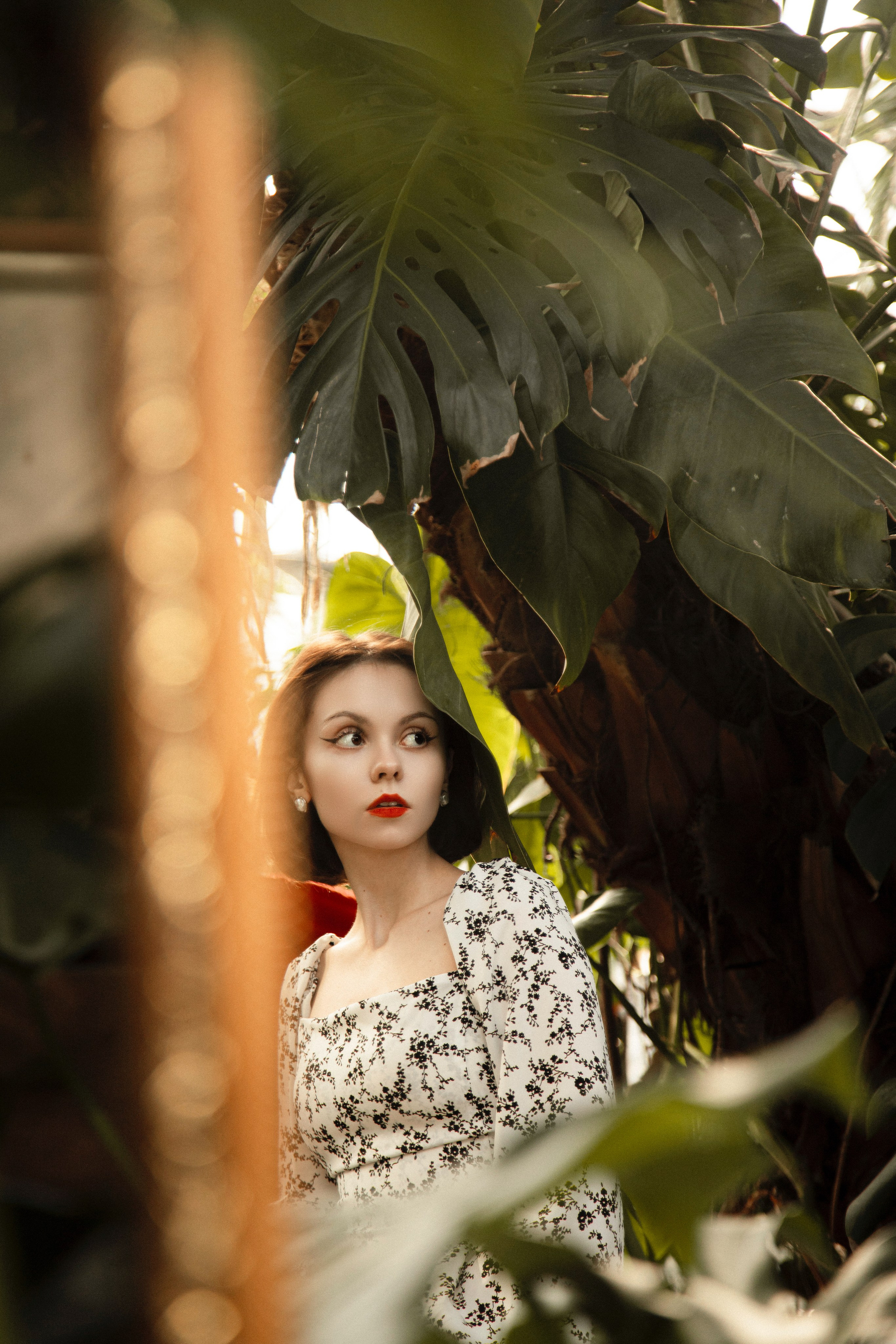 Оранжерея Таврического сада