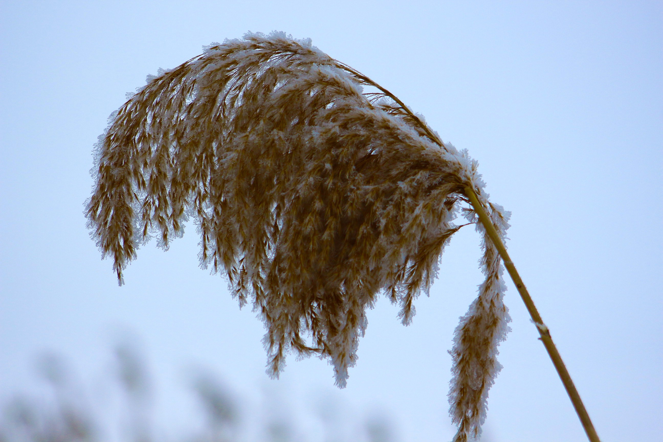 Пейзажи. Фотограф из Донецка Александр Турко