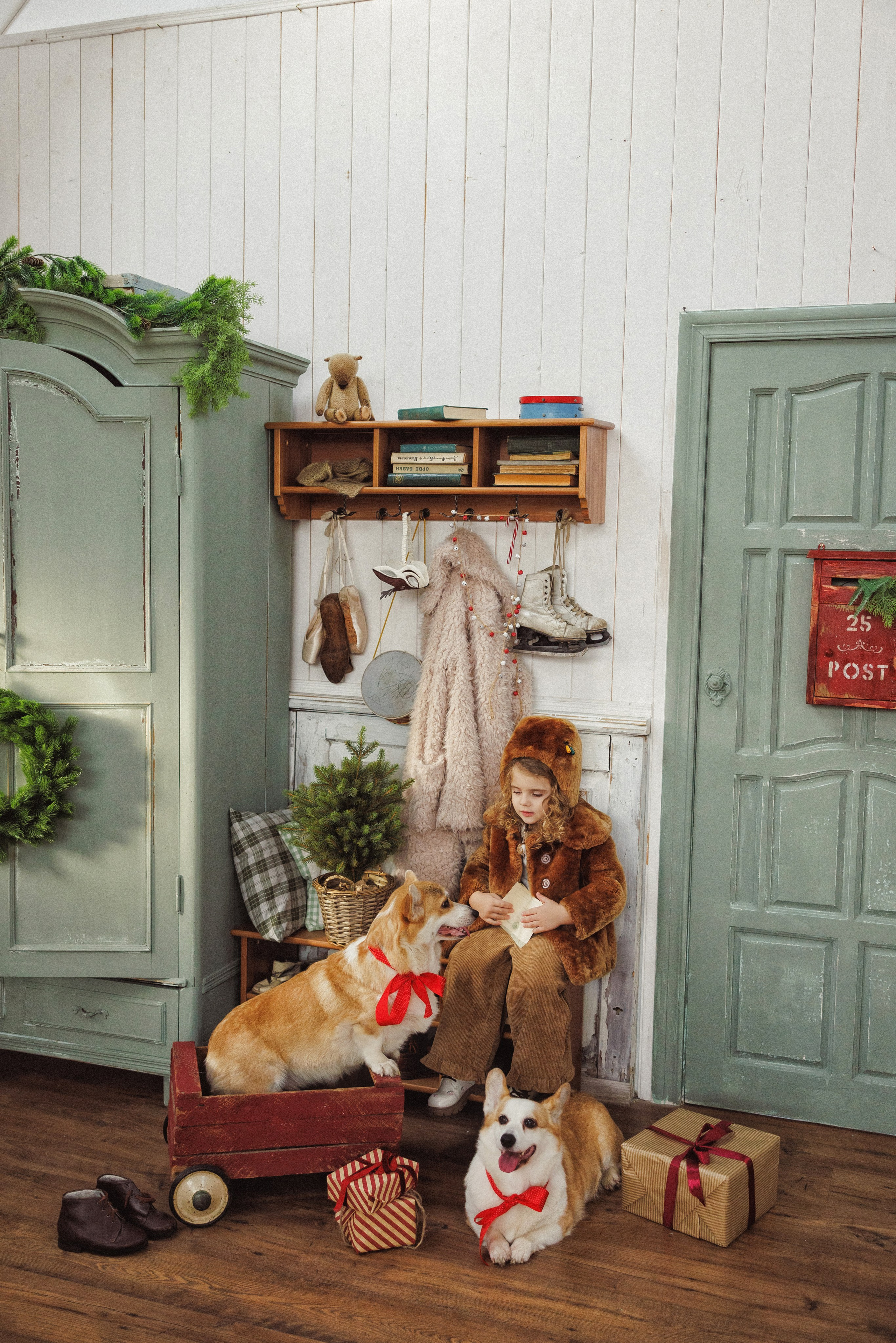 Новогодняя фотосессия с собачками породы Корги, город Краснодар. Семейный и детский фотограф в Краснодаре Анна Трашкова