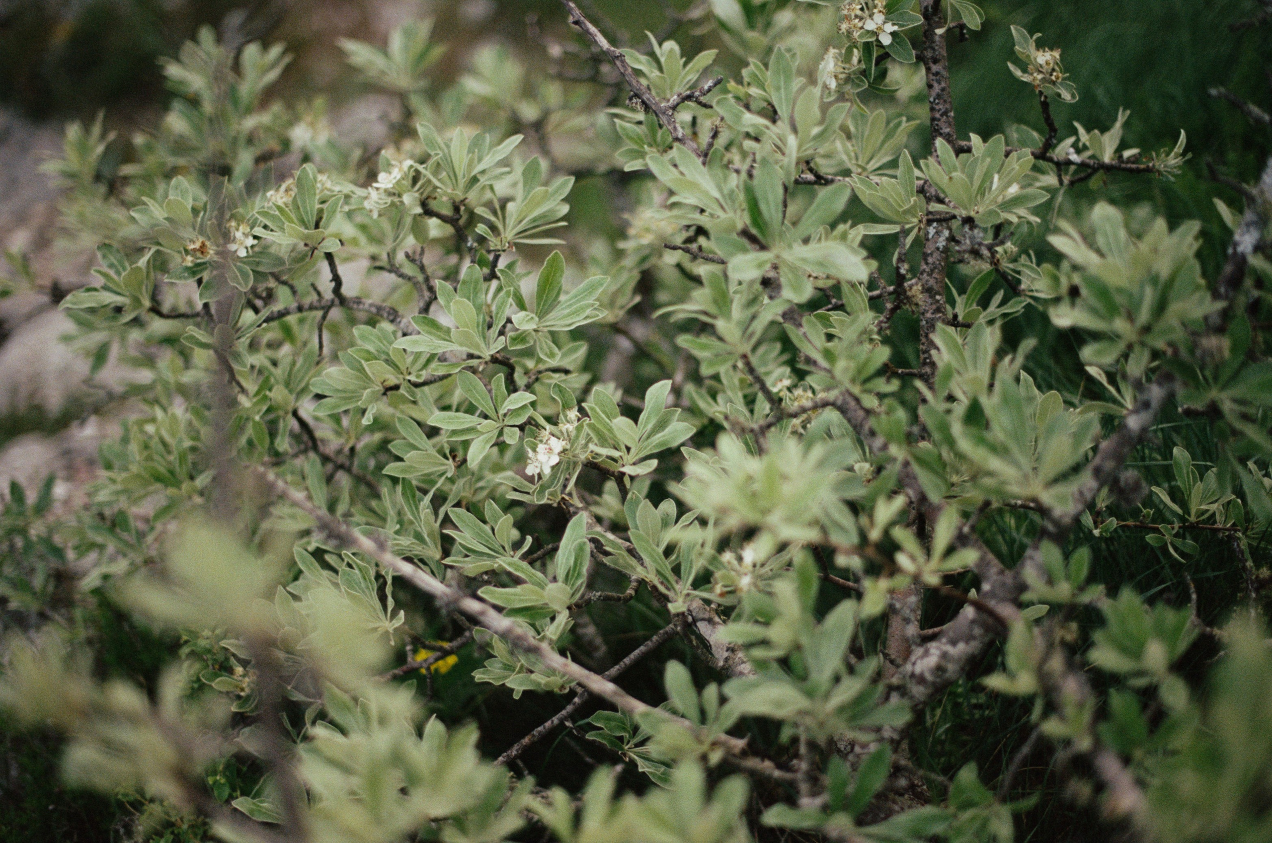 Silent running // ukraine, crimea. EVER EXPOSED