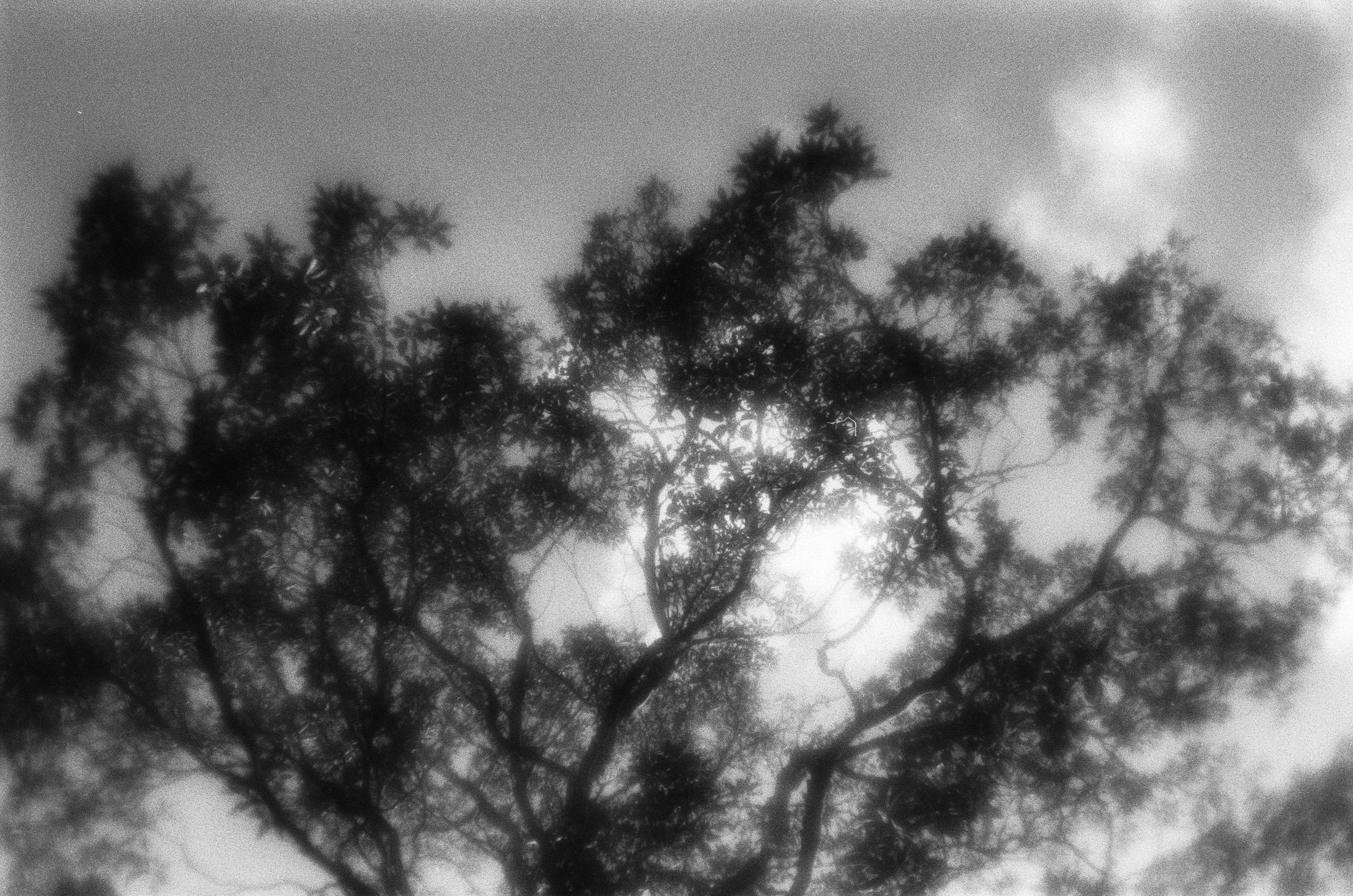 Oblomki chuvstv // ukraine, crimea VI. EVER EXPOSED