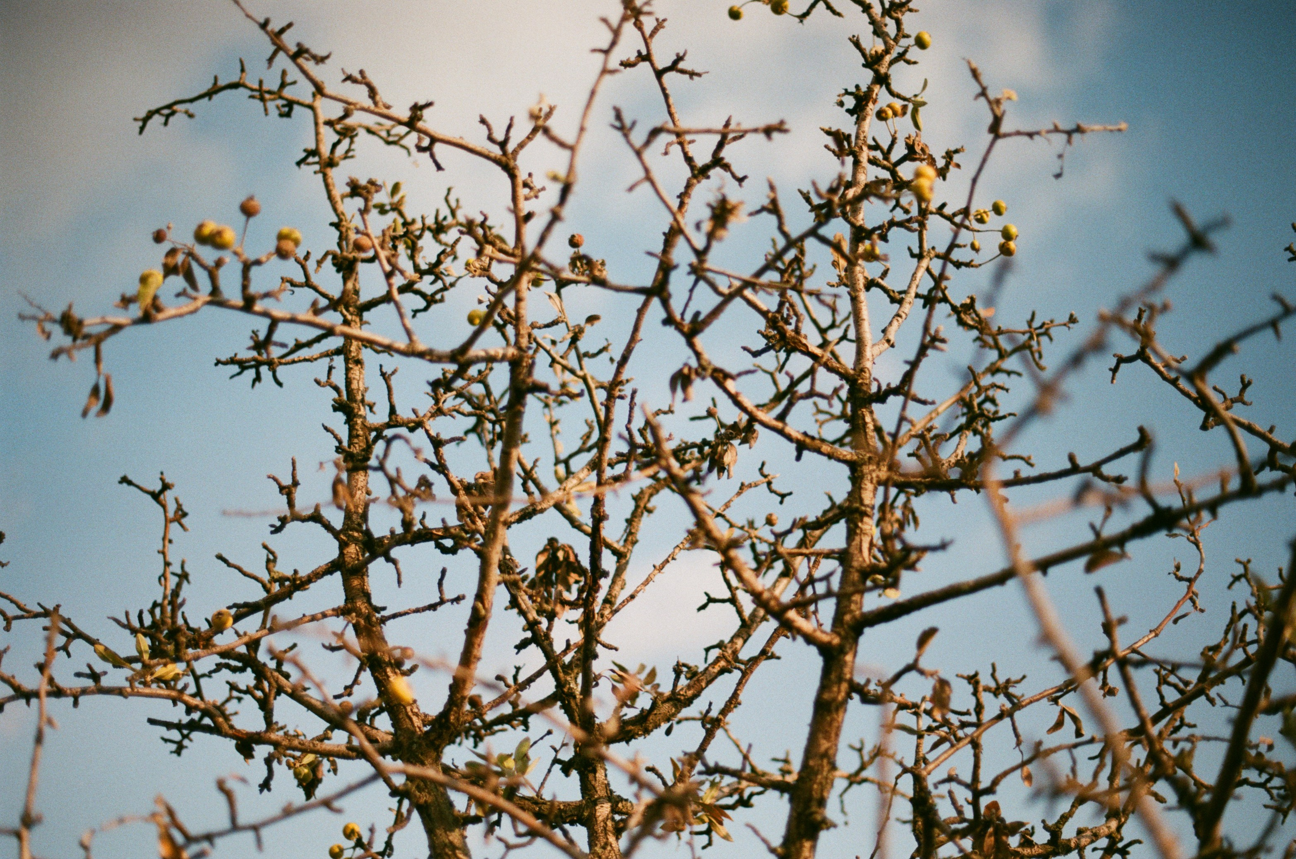 Wherever you will go // ukraine, crimea. EVER EXPOSED