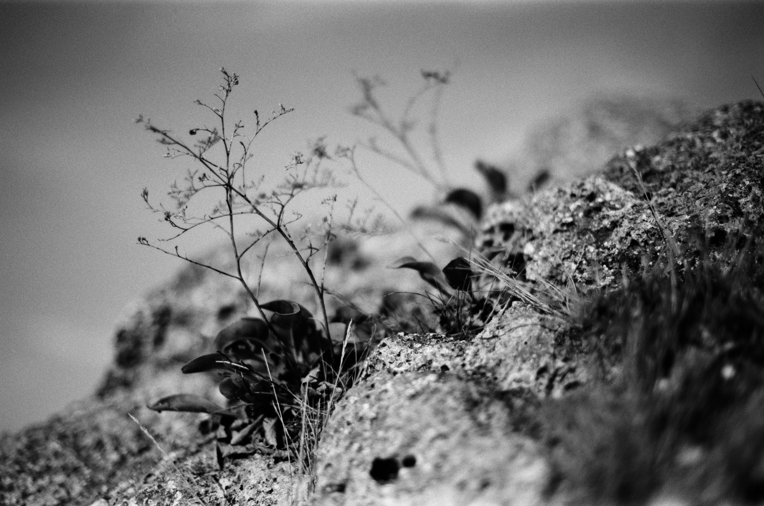 Move me // ukraine, crimea III. EVER EXPOSED