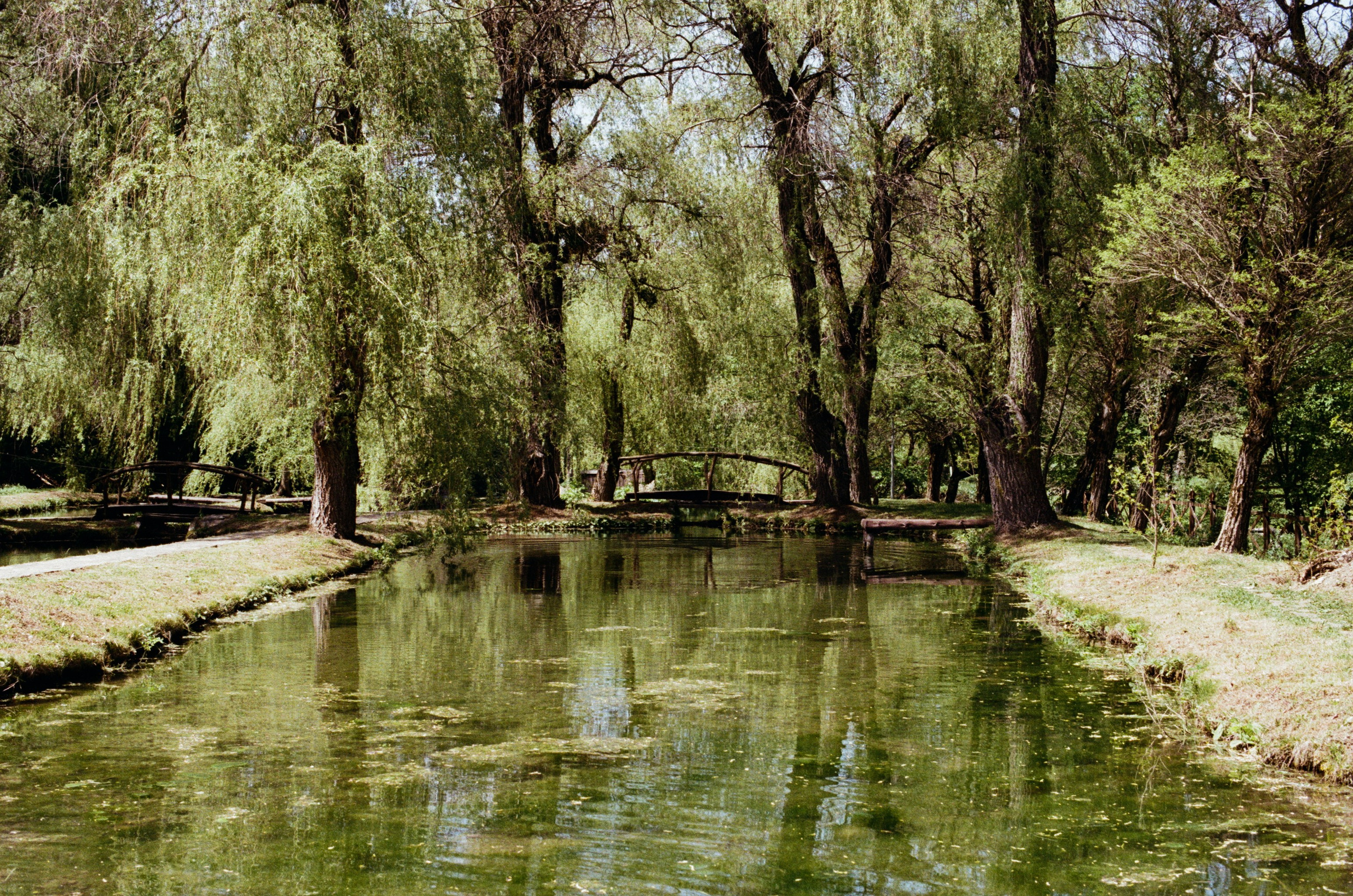 Point of no reply // ukraine, crimea. EVER EXPOSED