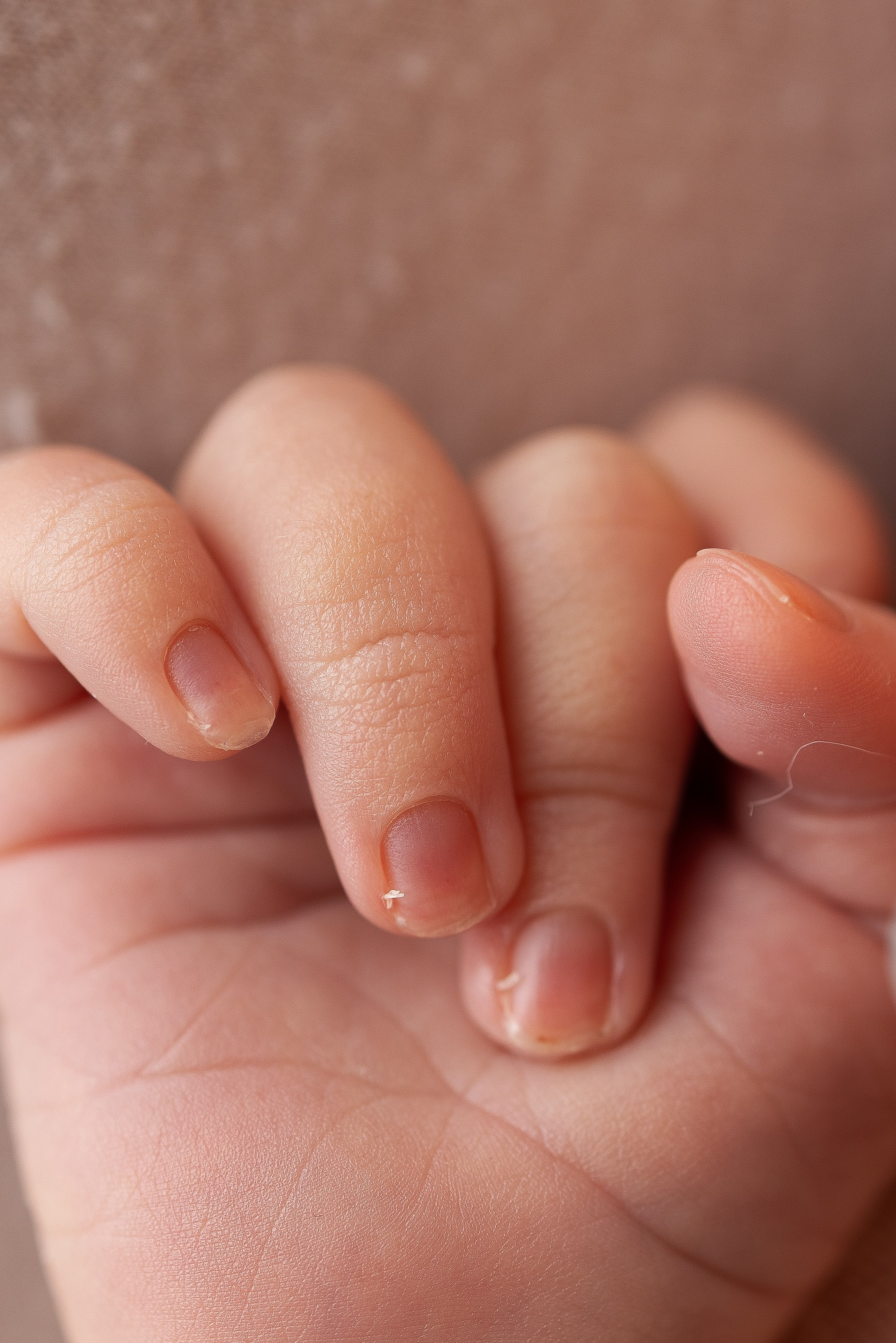 Зоя. Фотограф новорождённых Newborn Москва