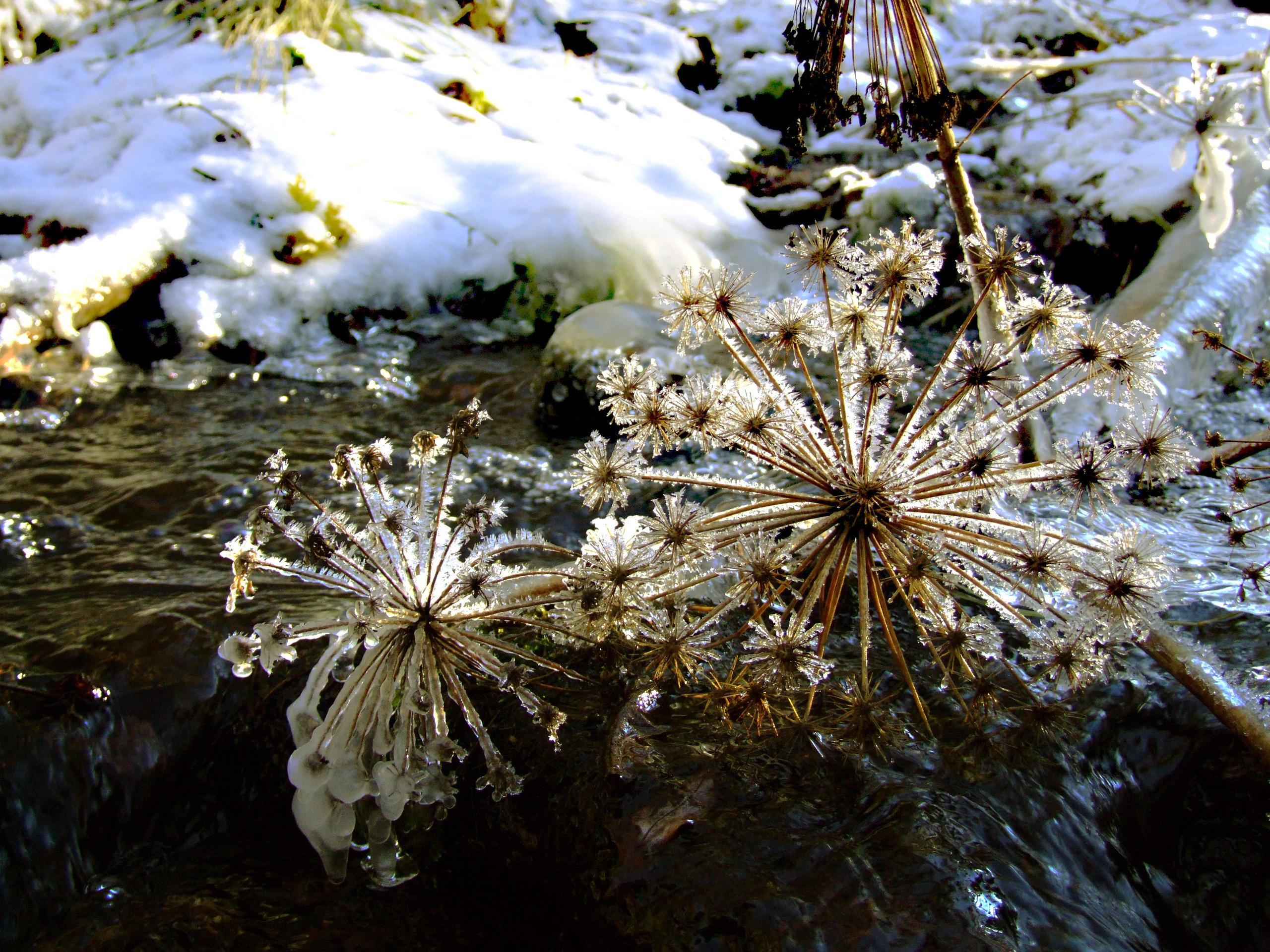 Живописные фотографии природы. Фотограф в Москве и Подмосковье, Николай Сорокин