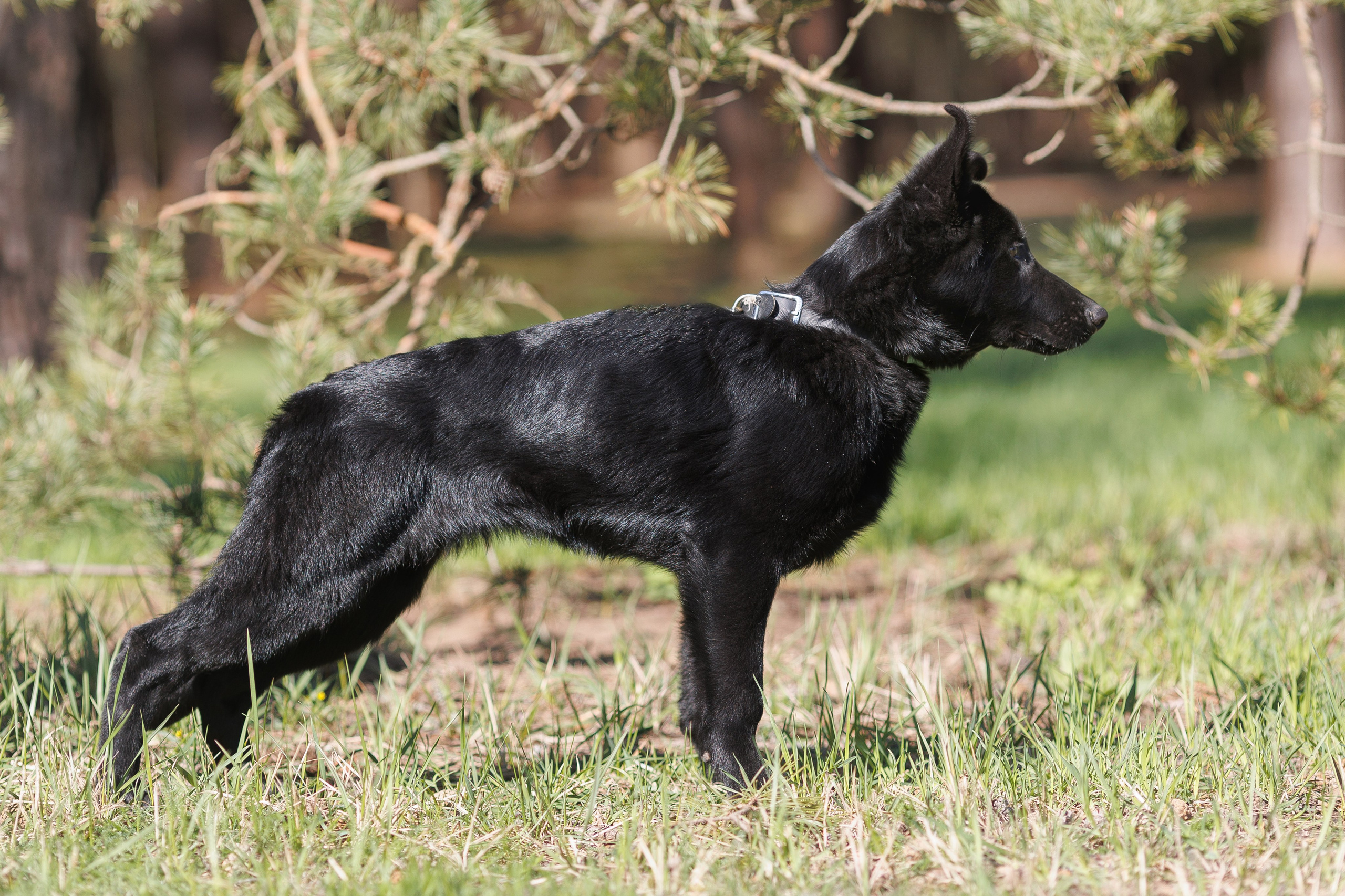Репортажный фотограф Борис Геер