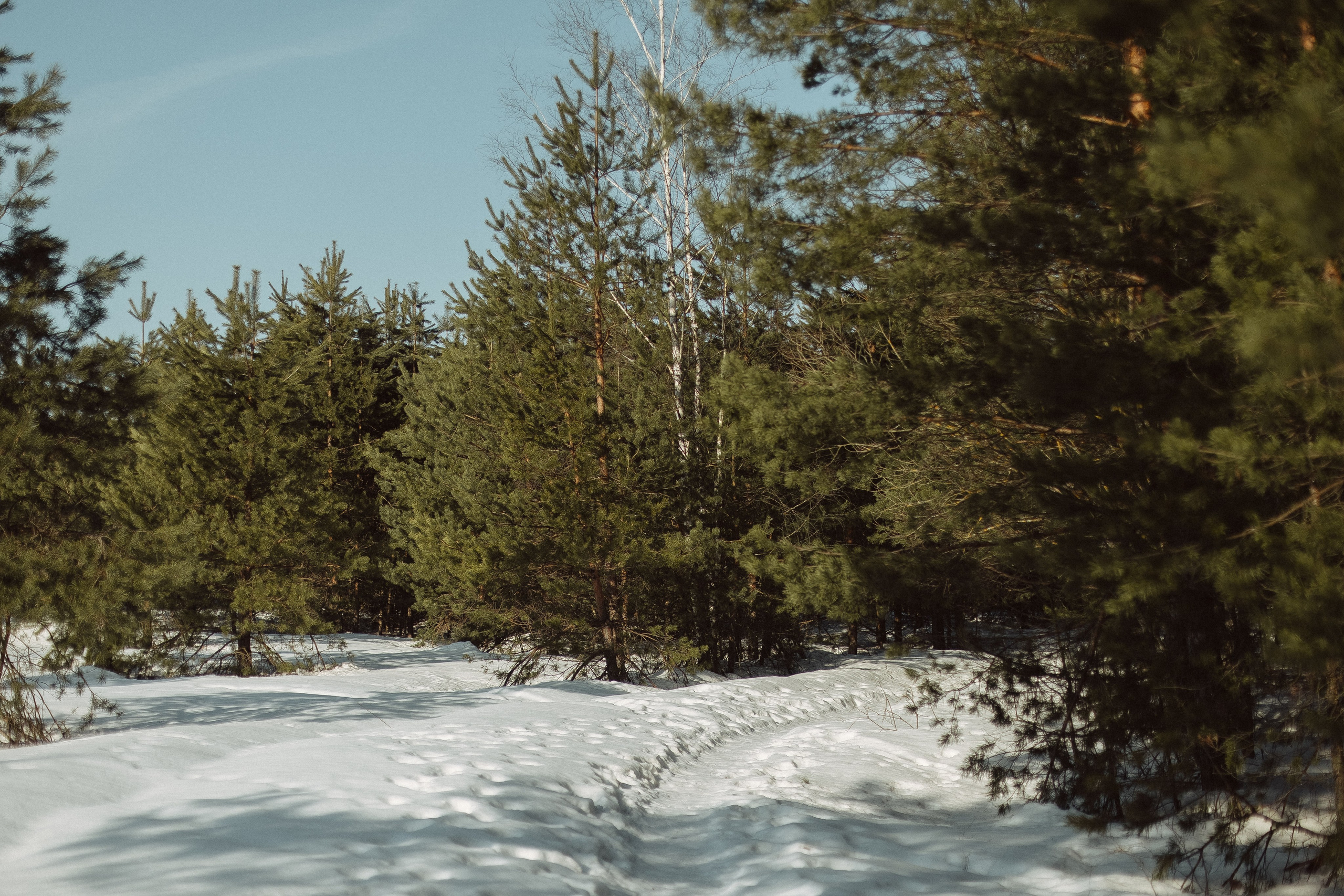 Экопарк ПОЛЯНЫ. Главная