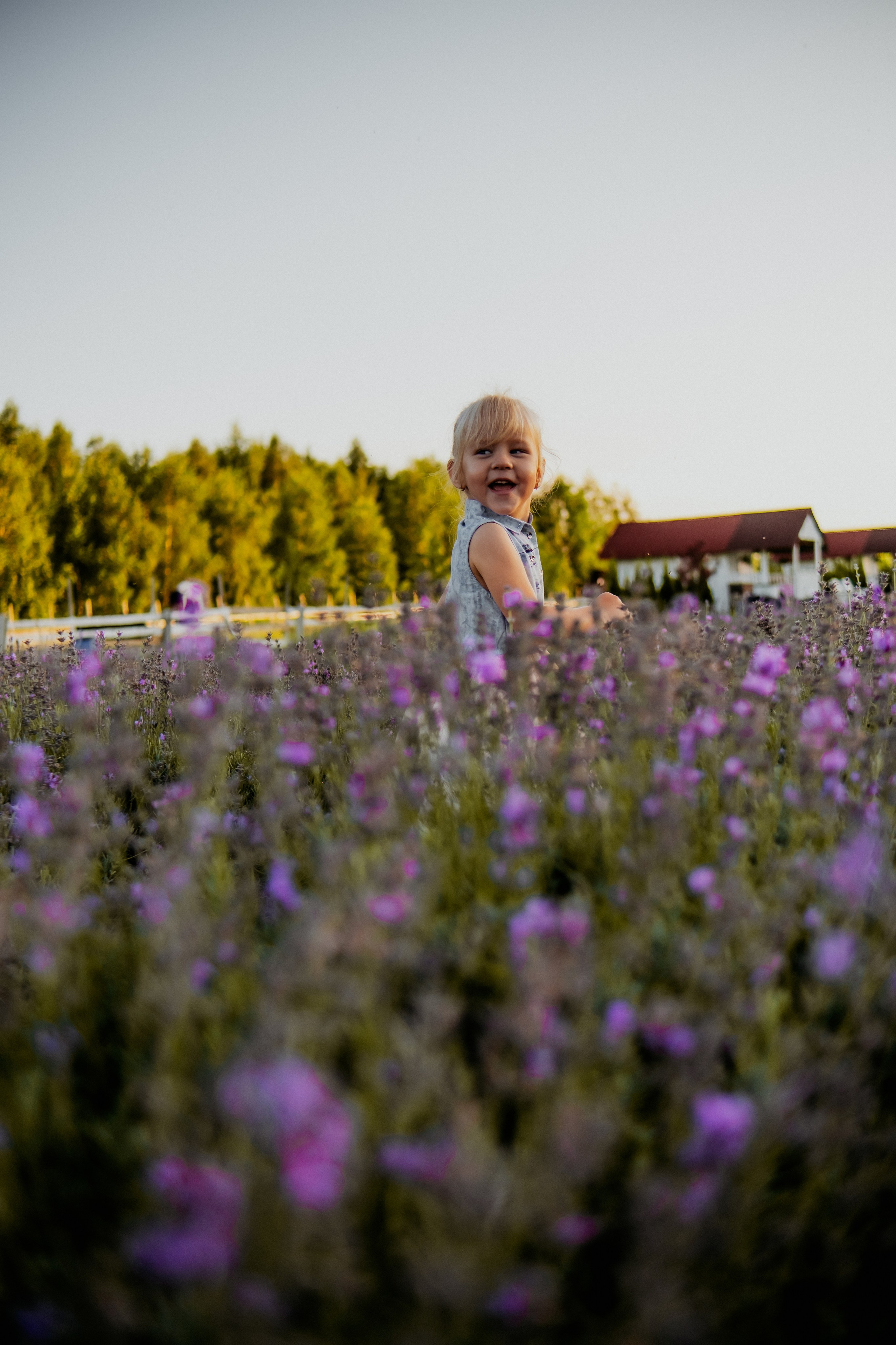 Семейная съемка в лованде. Nattie.ph