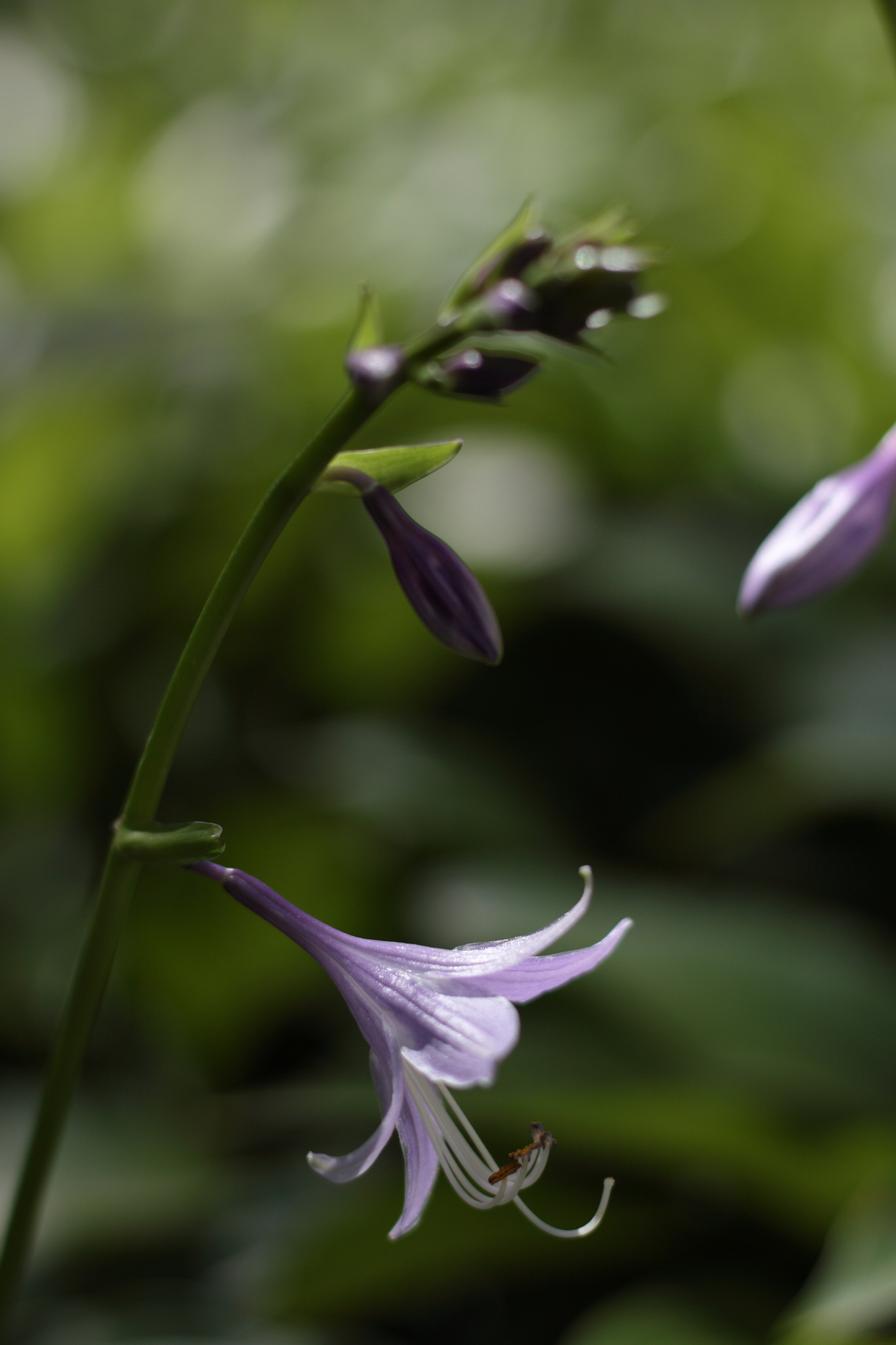 Старое природное, отбирала Katamount (Катерина Горохова). Главная