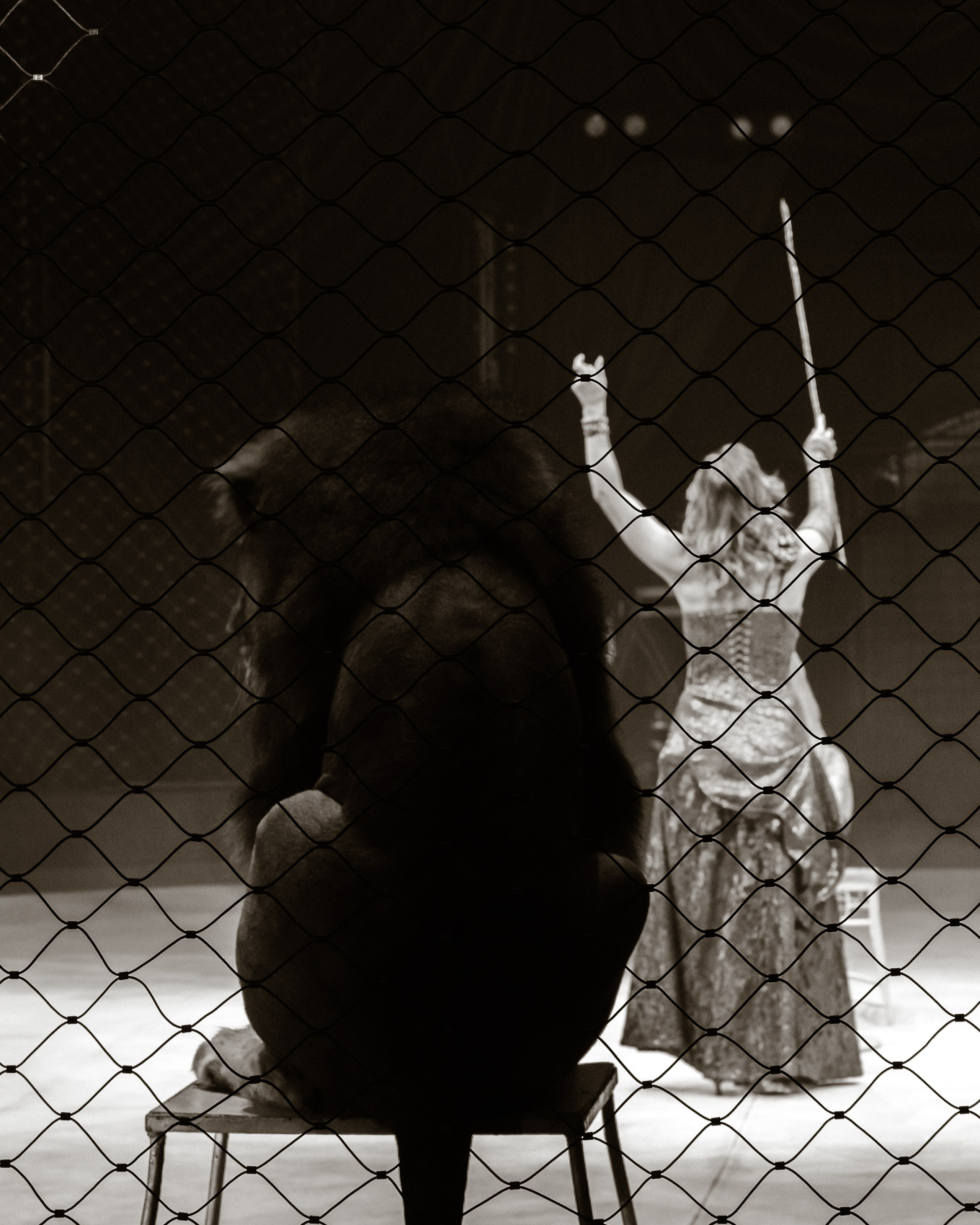 Circus. Фотограф в Москве Шалышко Ангелина