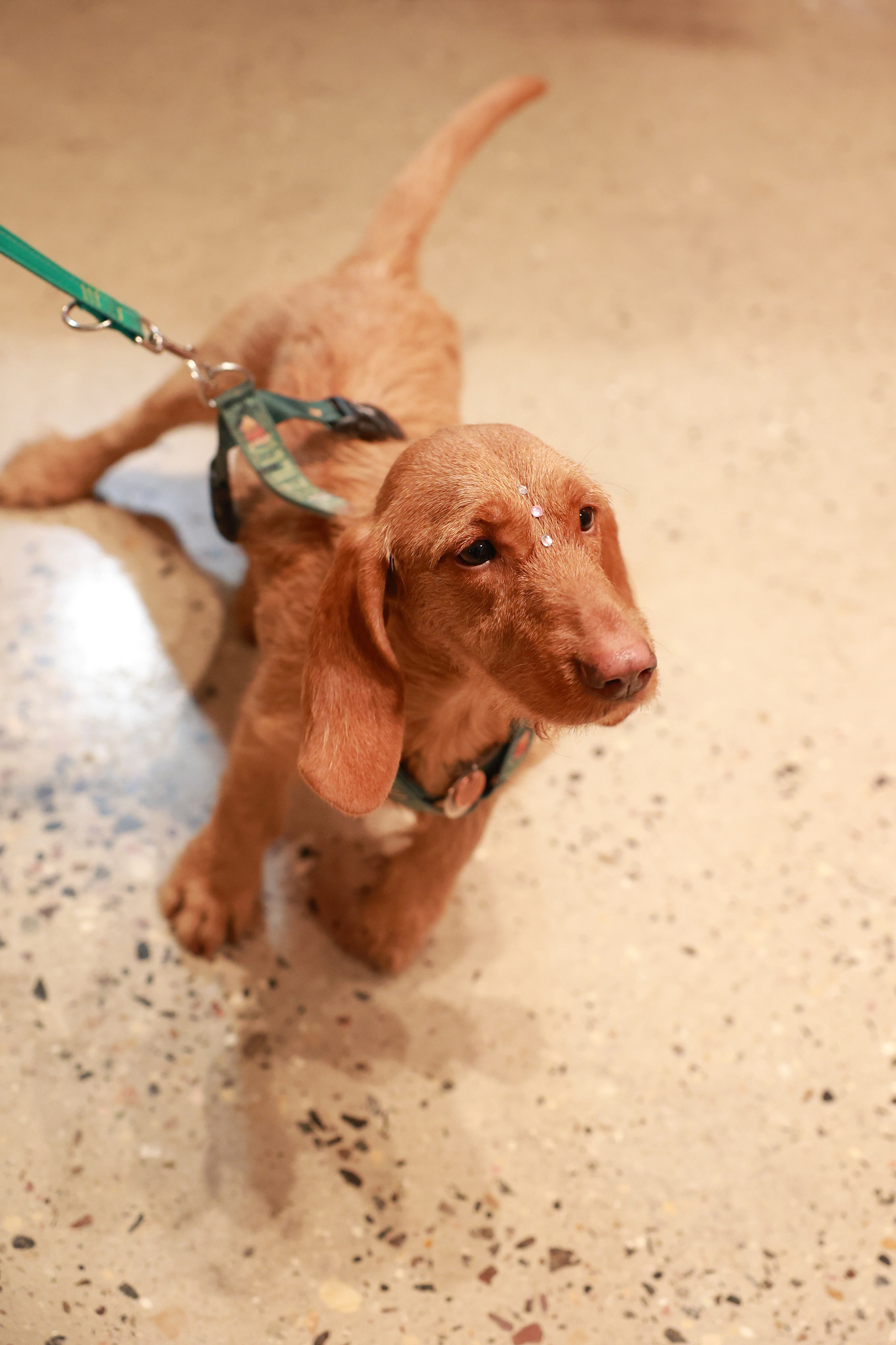 23–24 декабря 2023 в «Три вокзала. Депо» / День 1. Фотоотчеты «Ламбада-маркета»