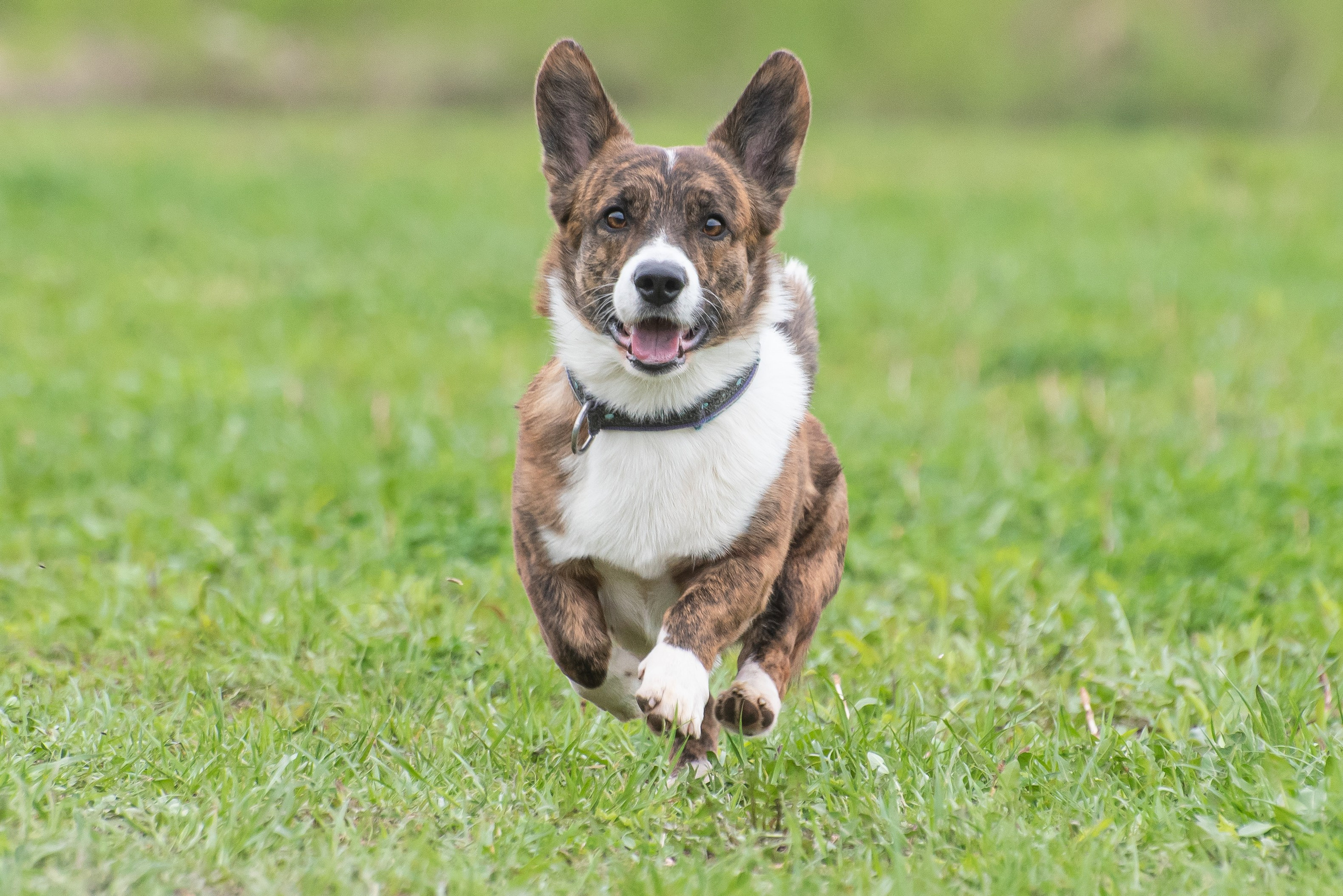 Фотографии с Курсинга. Фотограф Макс Огурцов в Нижнем Новгороде