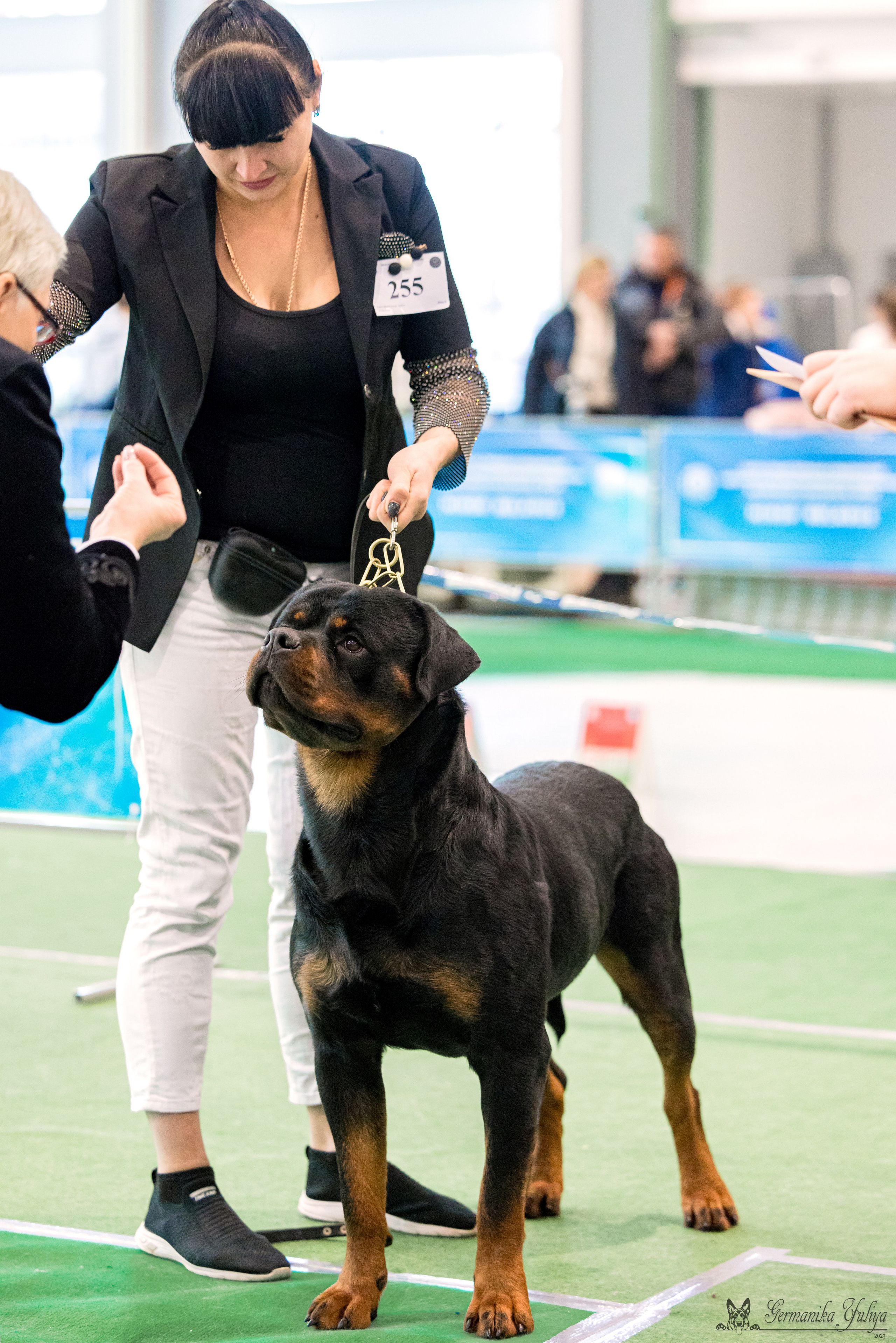 Минск 25-26.11.2023. Фотограф-анималист Юлия Германика