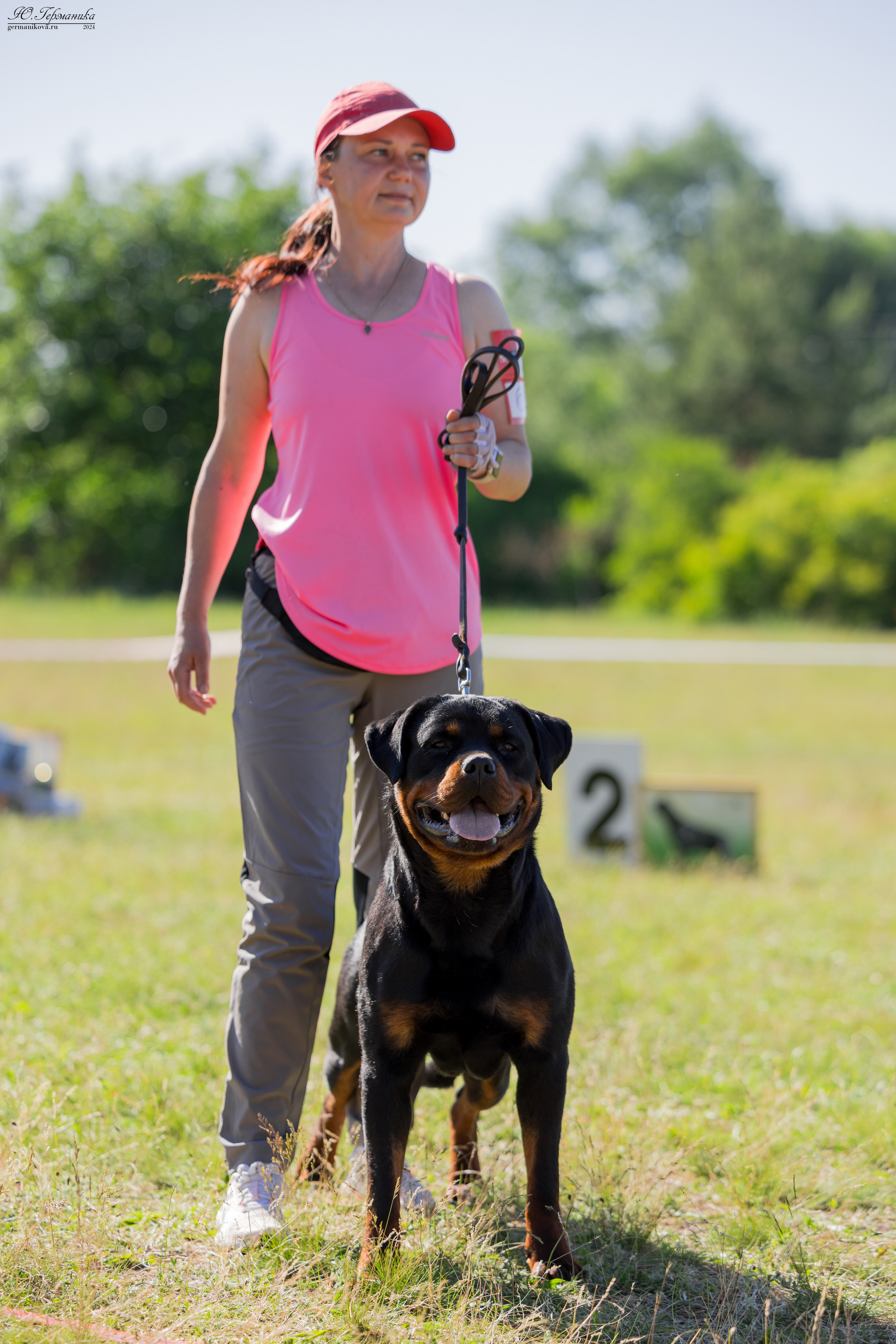 Воронеж моно ротвейлеров 25-26.05.2024. Фотограф-анималист Юлия Германика