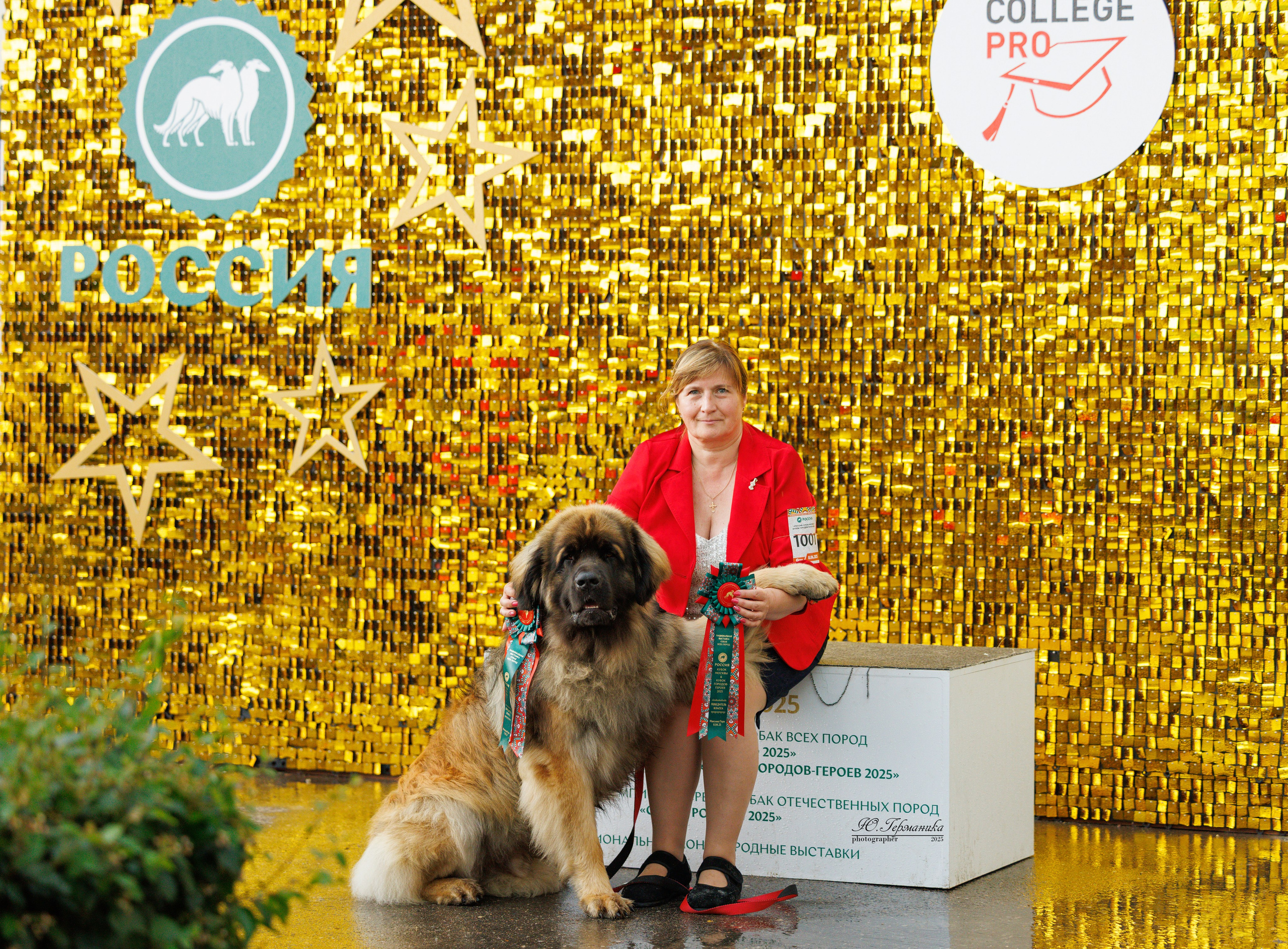 РОССИЯ 7-8.06.2025. Фотограф-анималист Юлия Германика