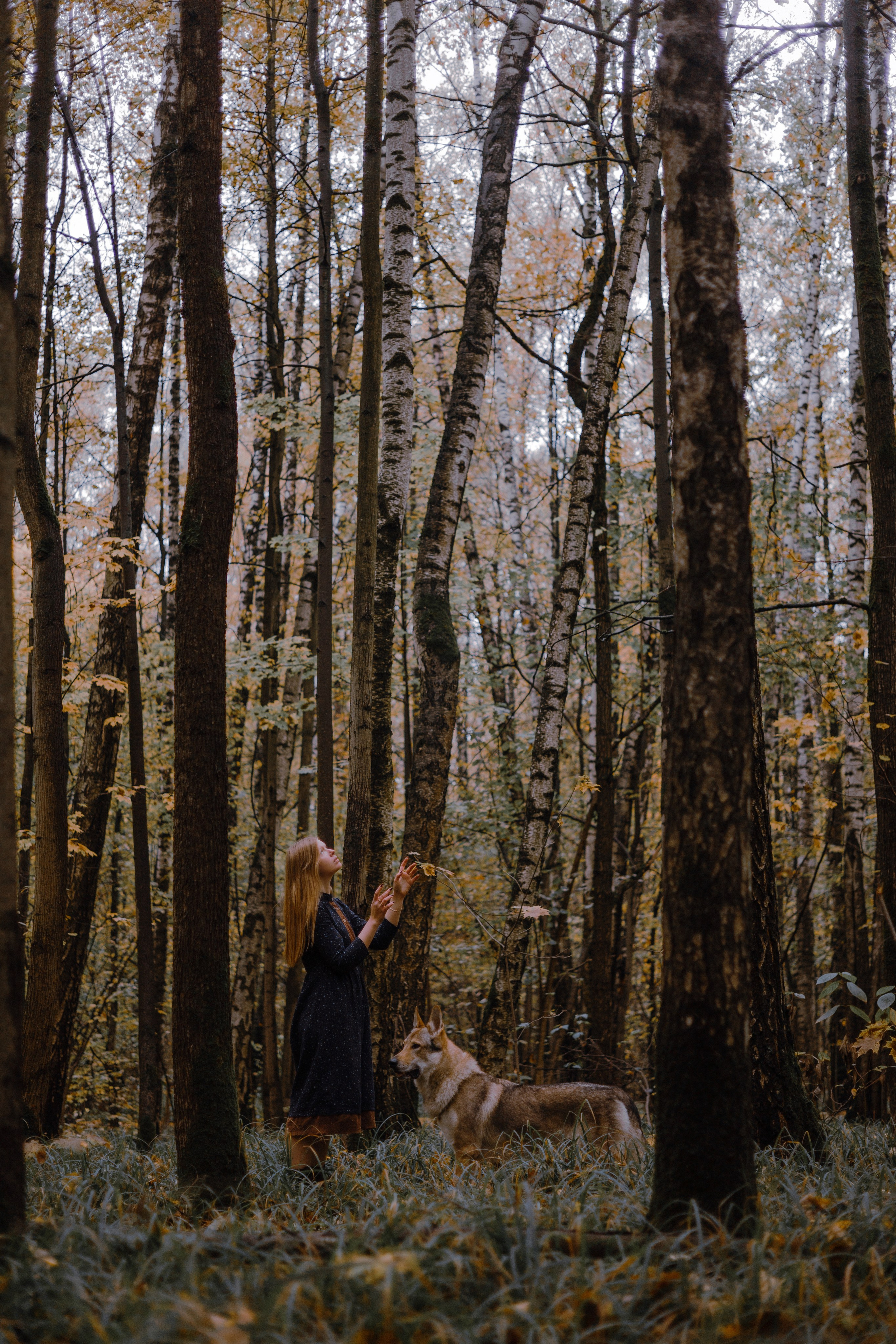 Полина и Вегард. Фотограф-анималист Богданова Полина