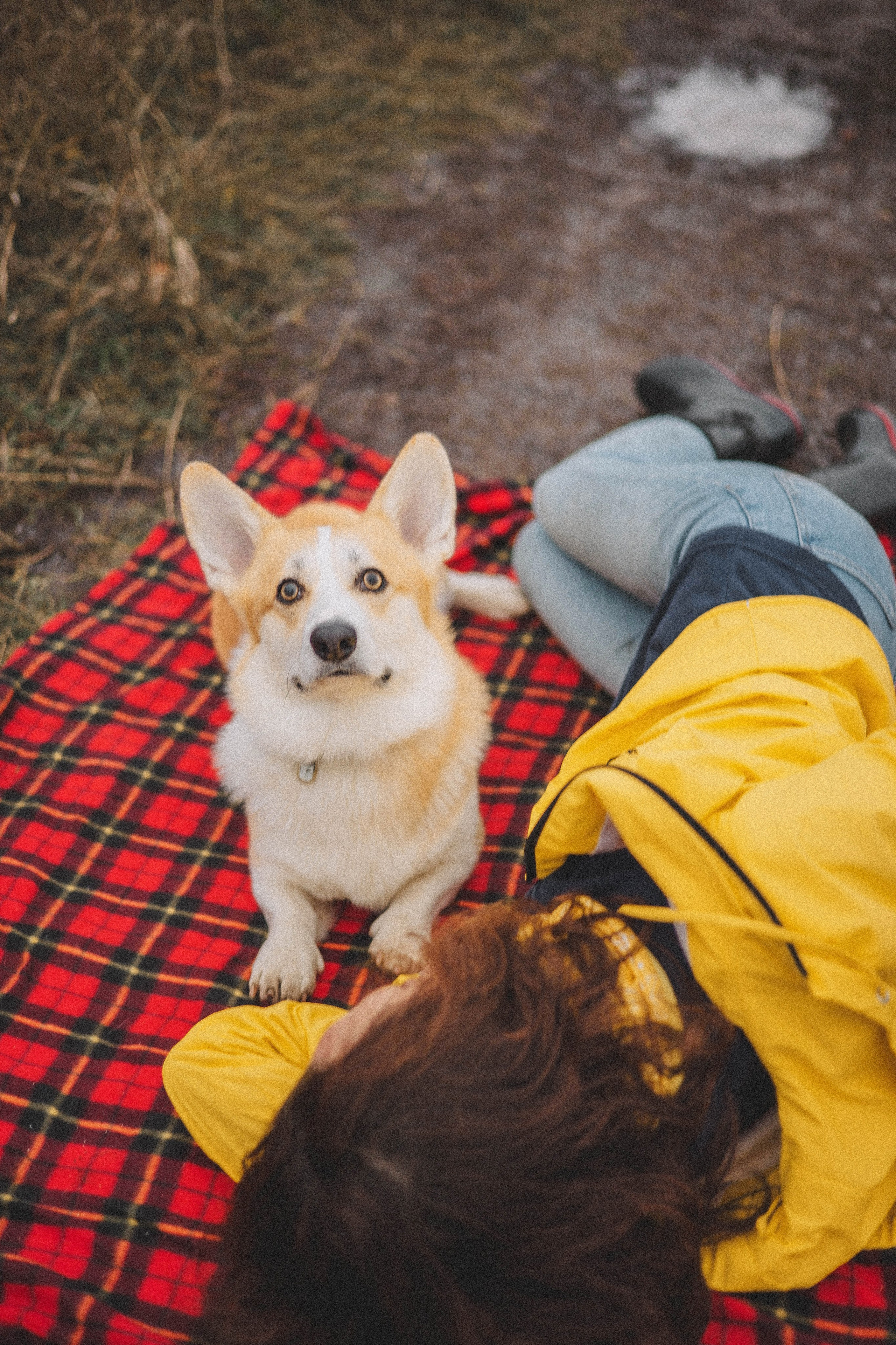 Юля и барри. Фотограф-анималист Богданова Полина