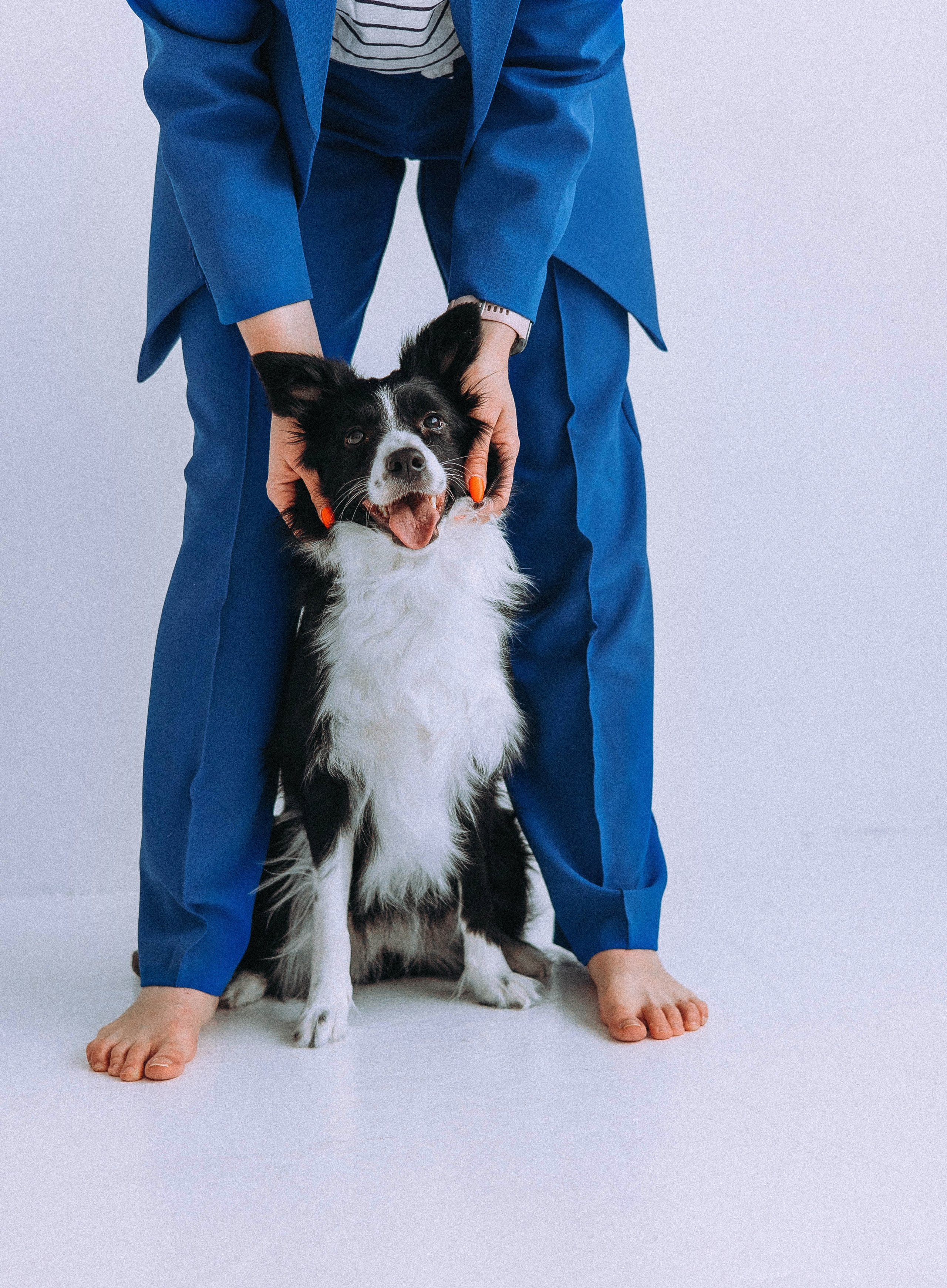 Катя и Райли. Фотограф-анималист Богданова Полина