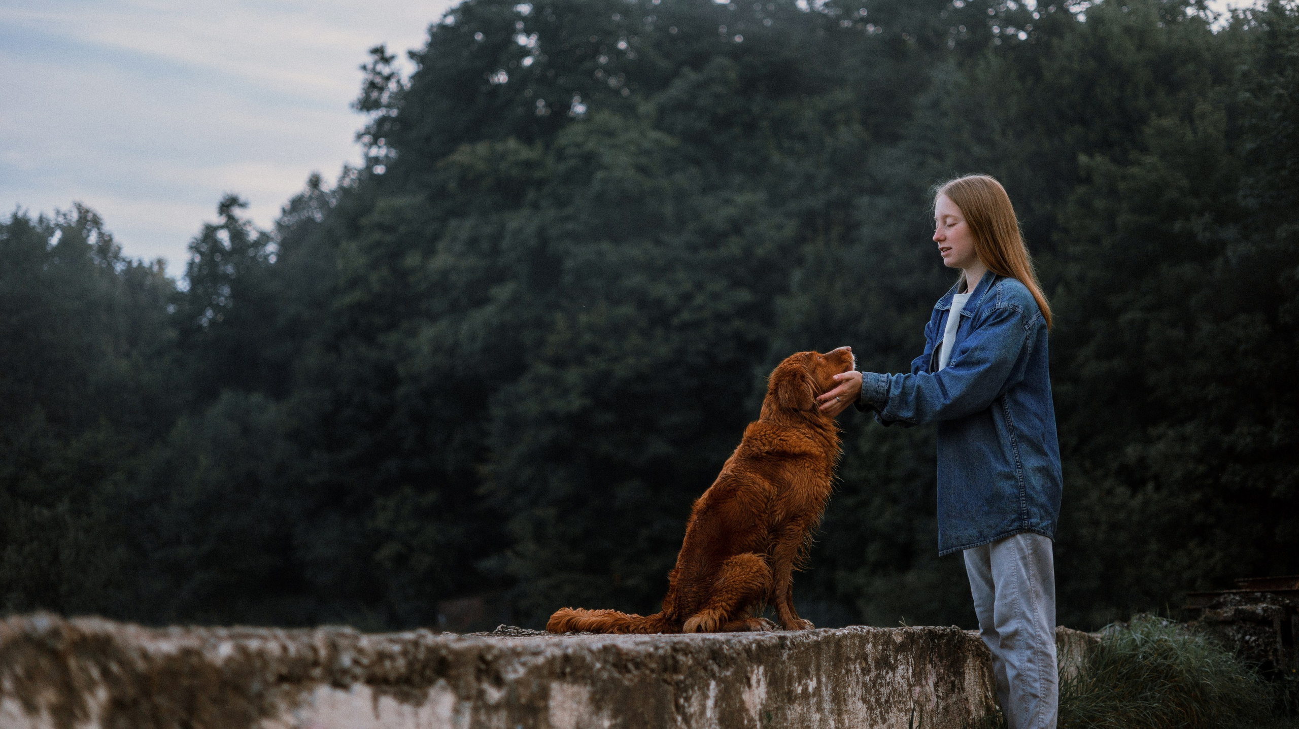 Ксюша и Мэди. Фотограф-анималист Богданова Полина