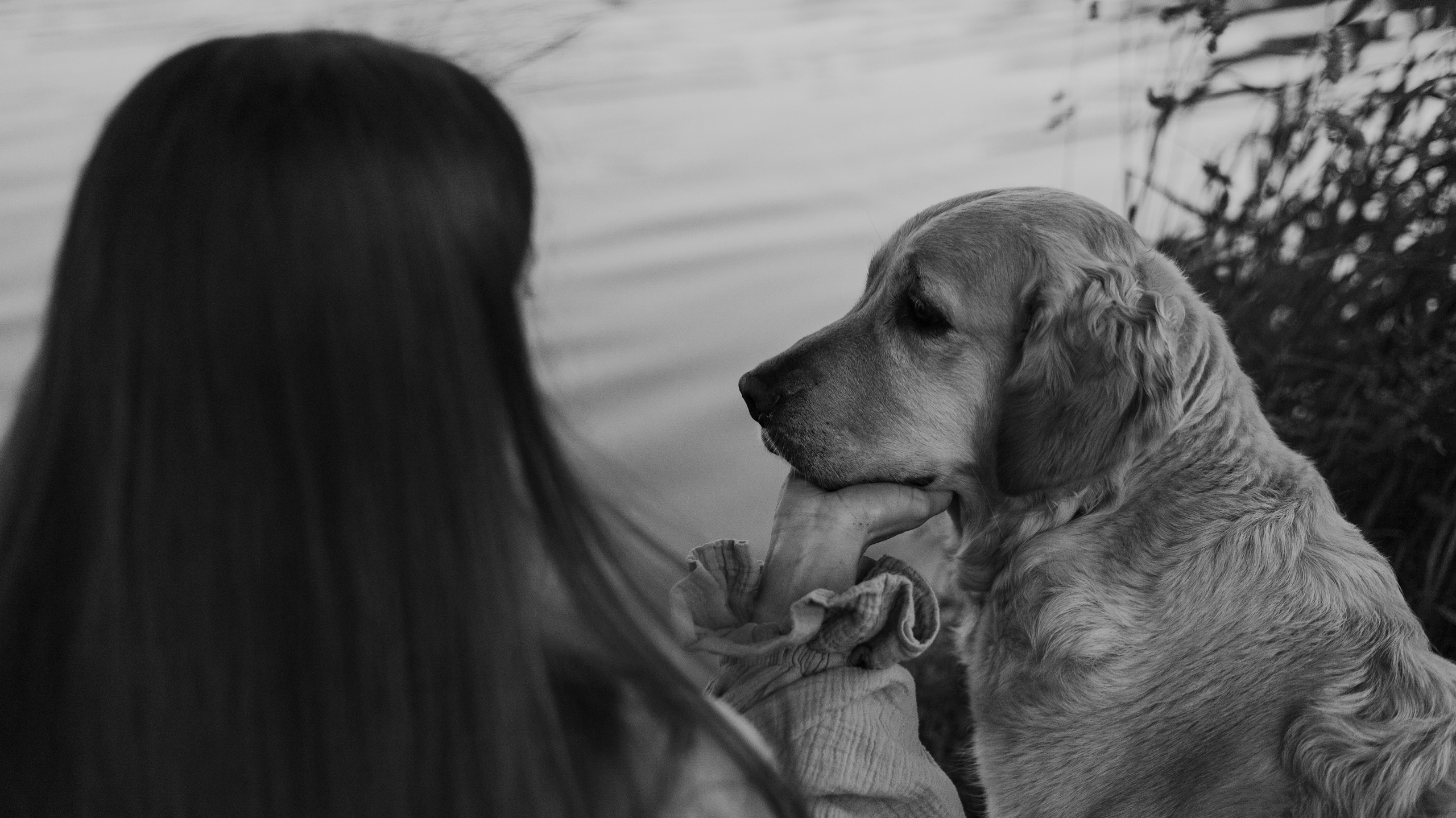 Марина и Чили. Фотограф-анималист Богданова Полина