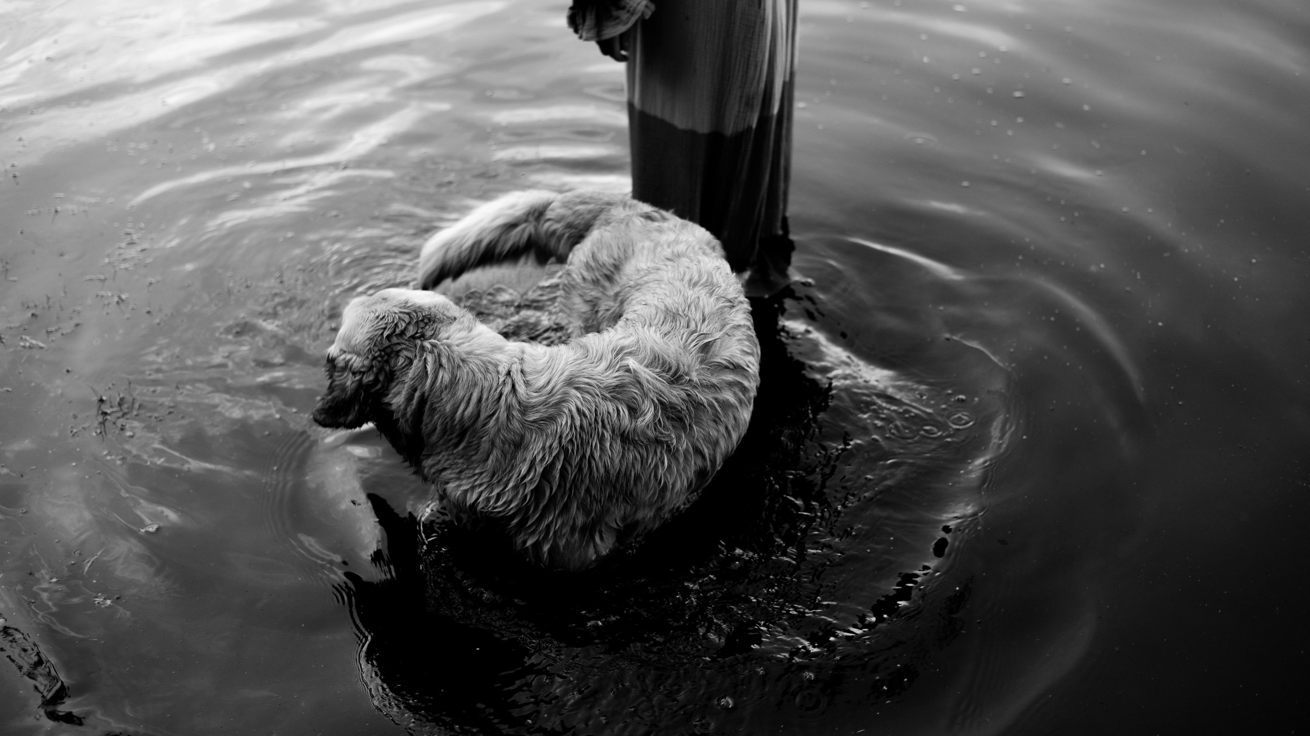 Марина и Чили. Фотограф-анималист Богданова Полина