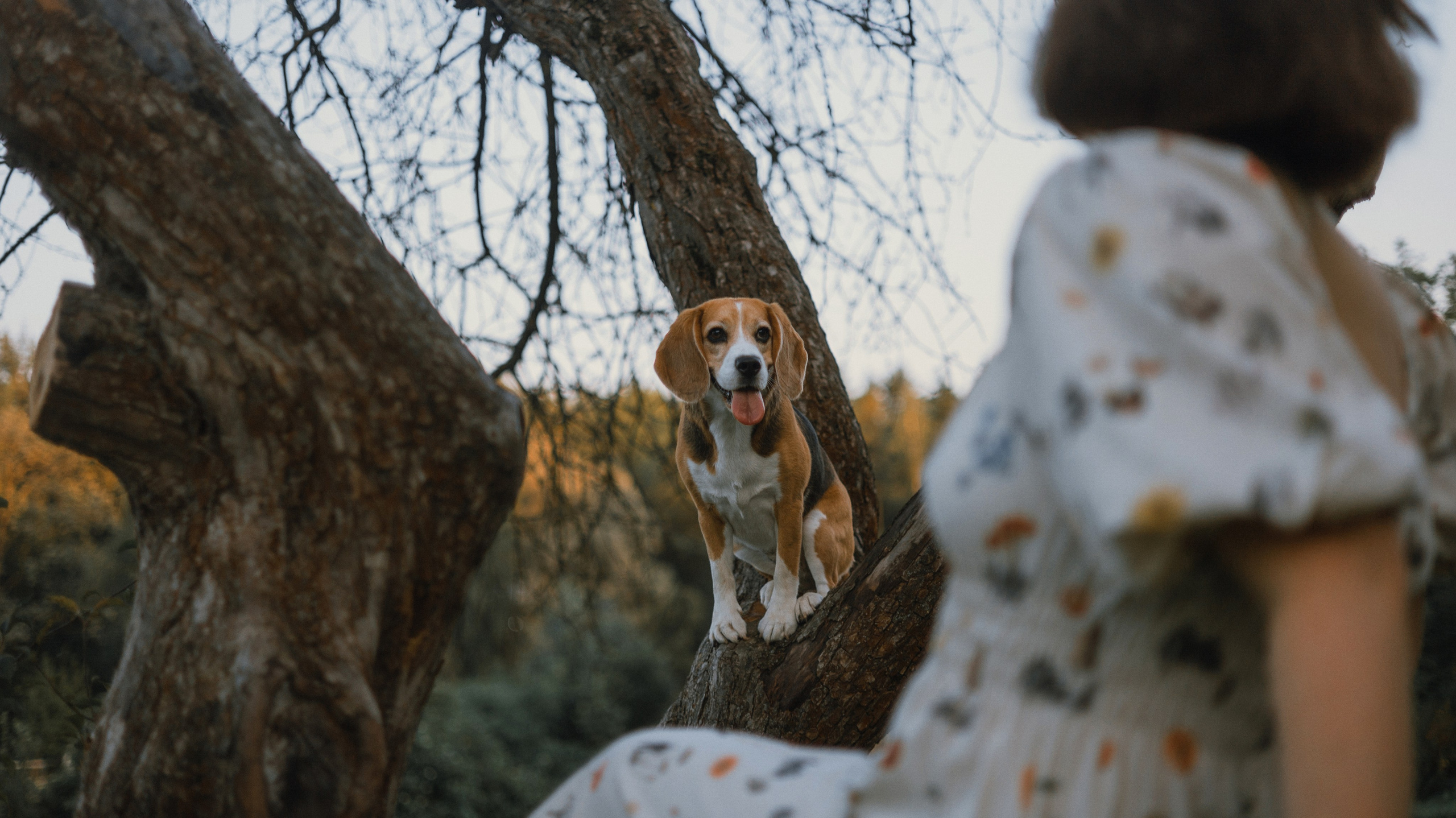 Лиза и Сара. Фотограф-анималист Богданова Полина