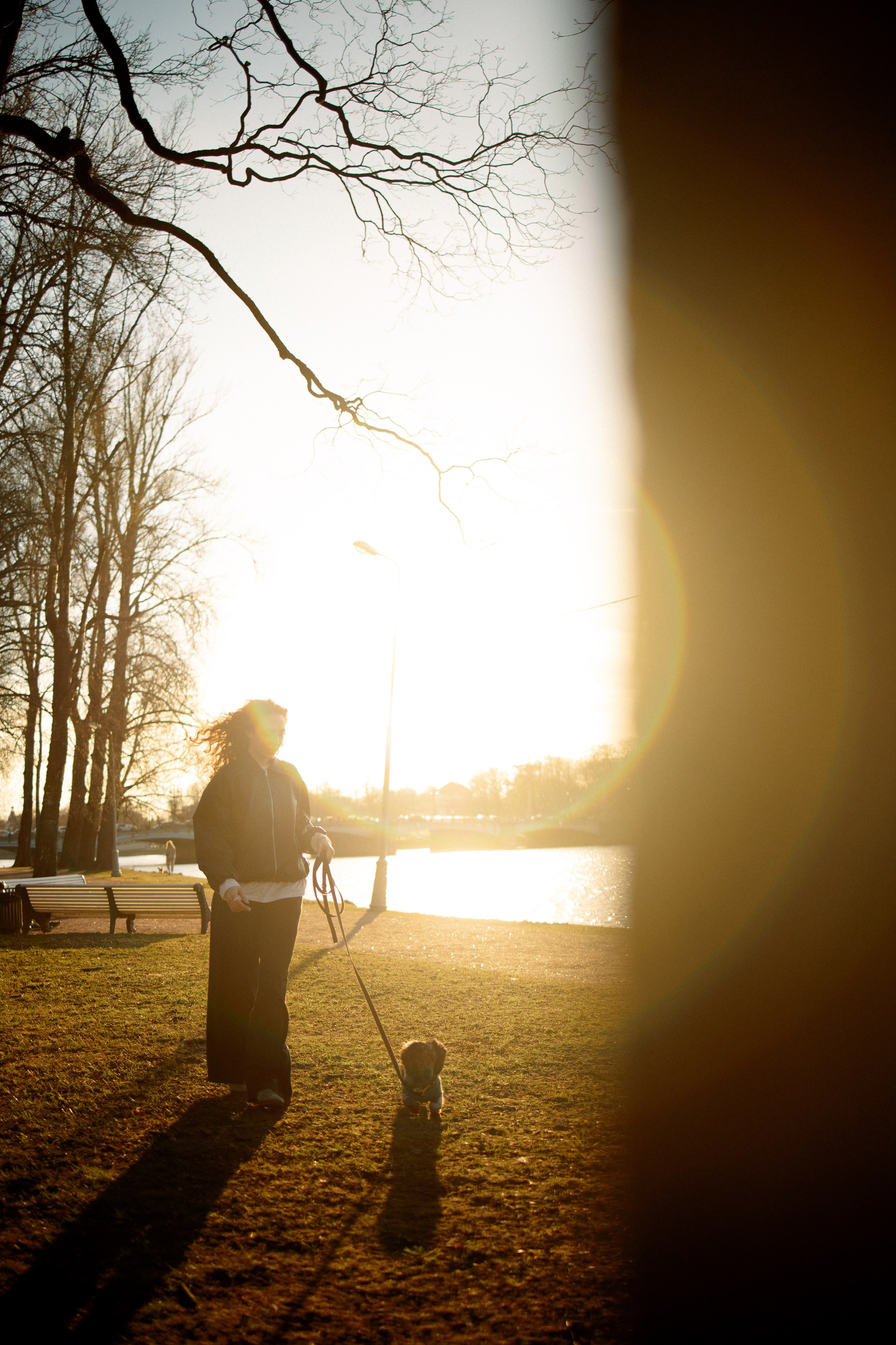 Одна прогулка из жизни Бимы. Семейный фотограф Питер •love-story•|Санкт-Петербург