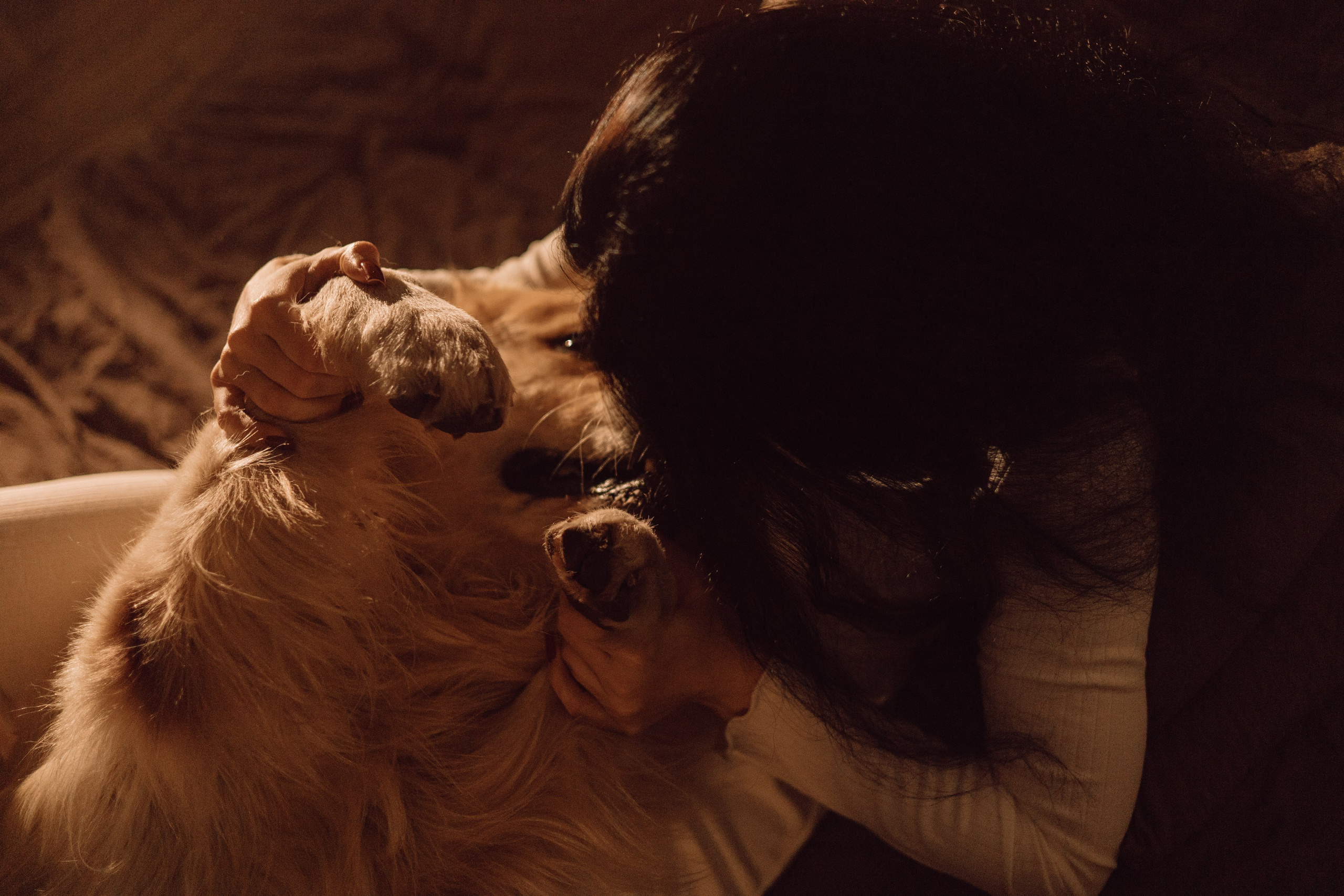 Лёва и его семья. Фотограф — анималист •love-story•|Санкт-Петербург