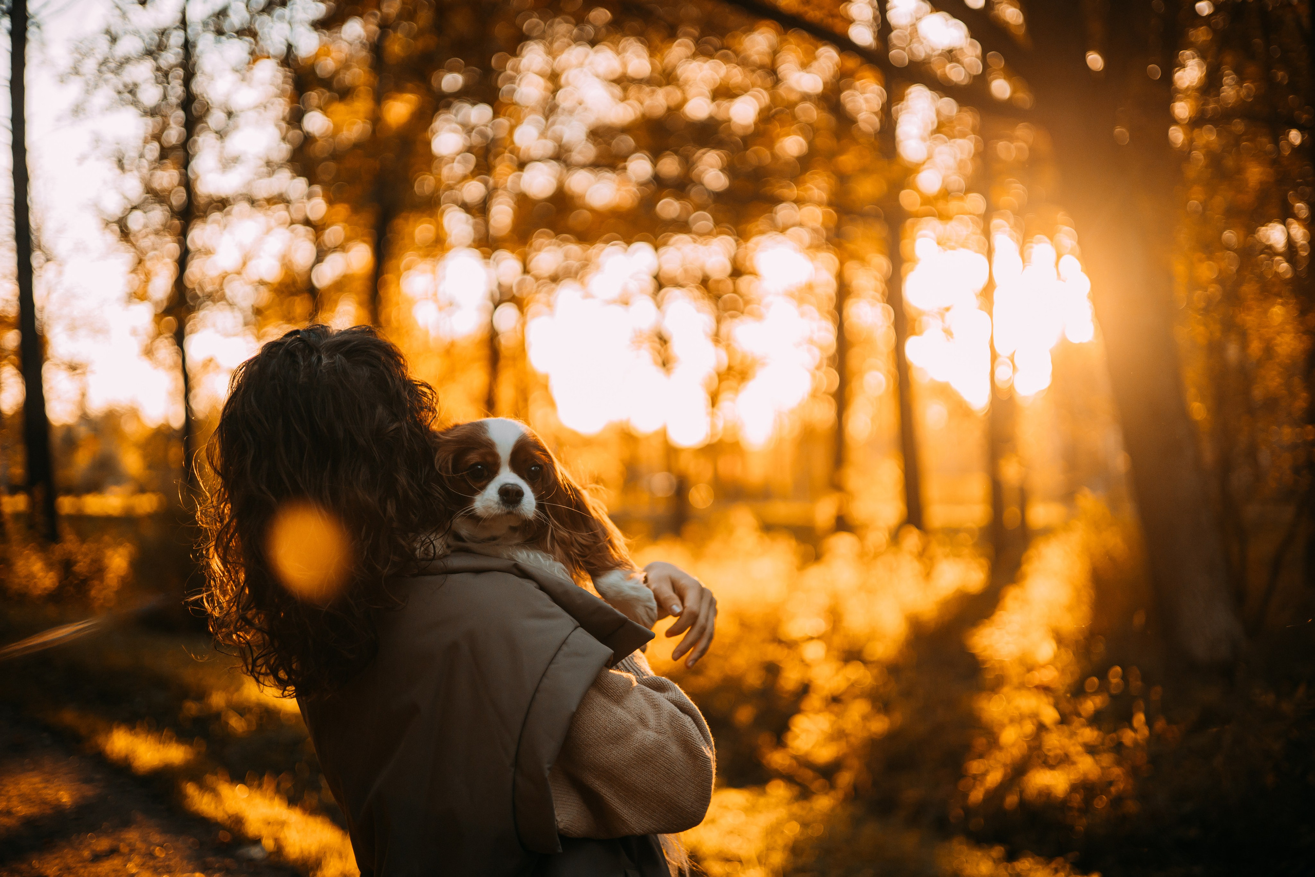 Снежанна и Тесси. Фотограф — анималист •love-story•|Санкт-Петербург