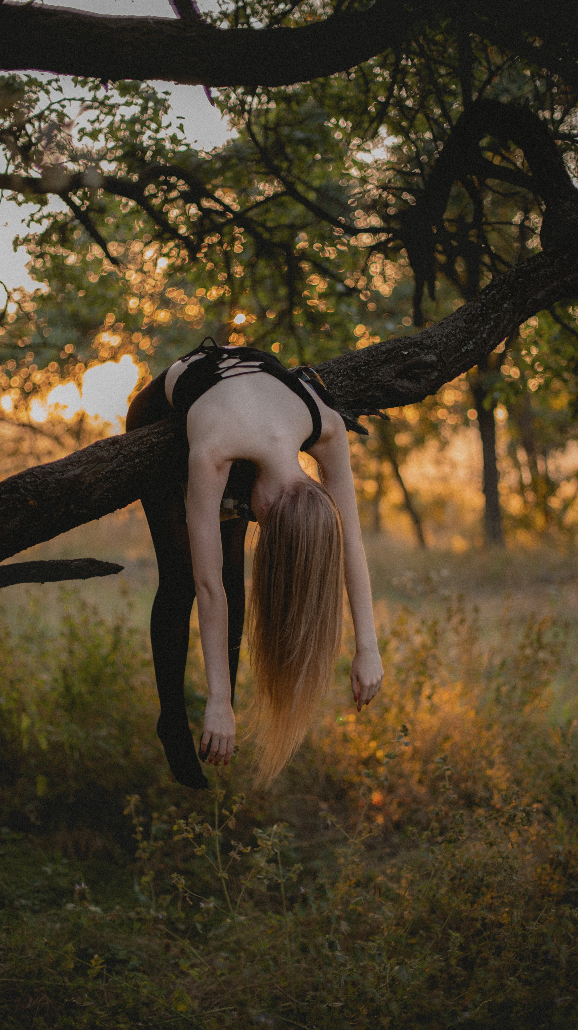 Лесная нимфа. BLACK CLOWER Фотограф Енакиево