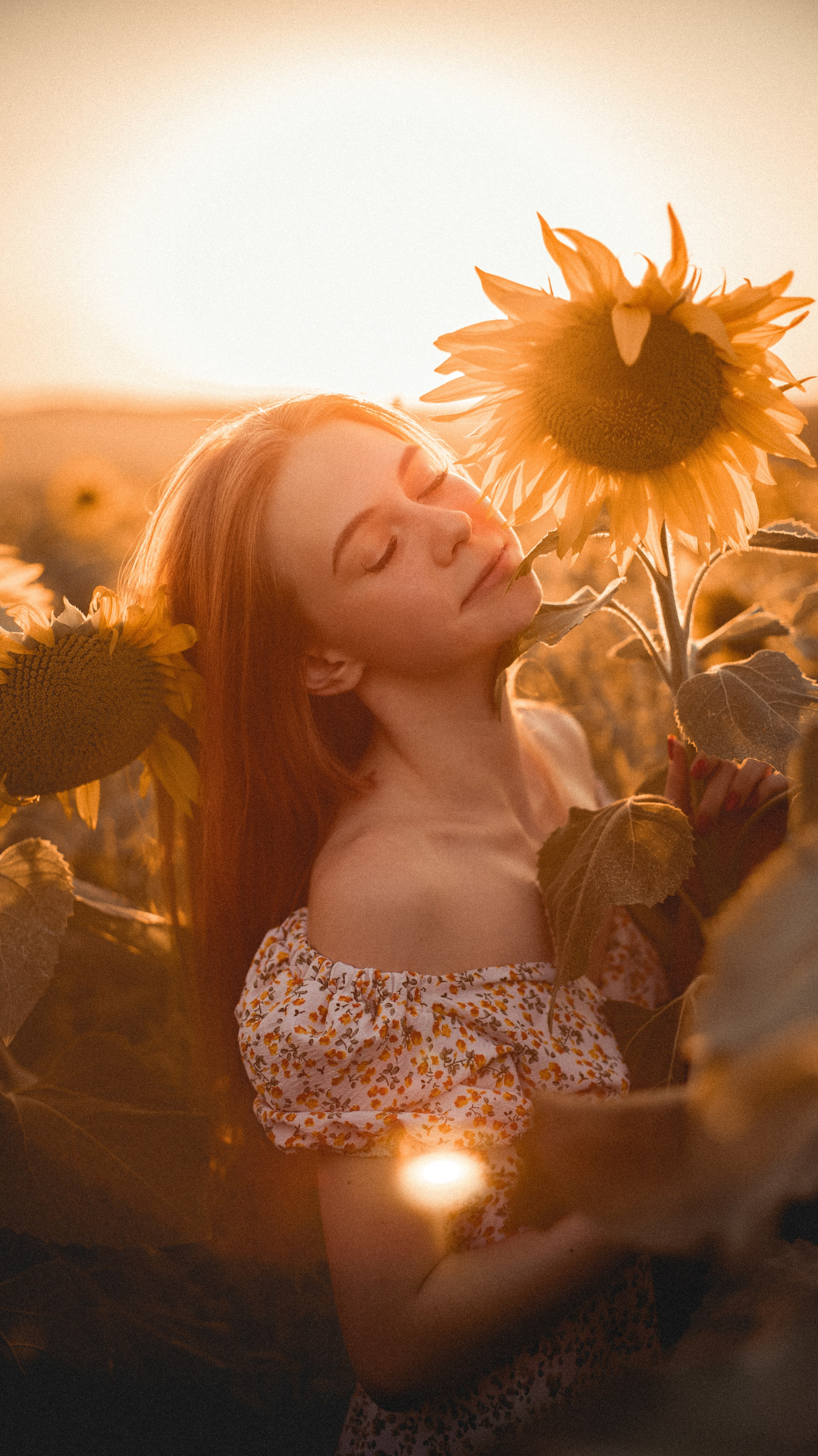 Огненные подсолнечники. Фотограф. Пейзажи, макро, портреты. Город Енакиево, без границ в съёмке